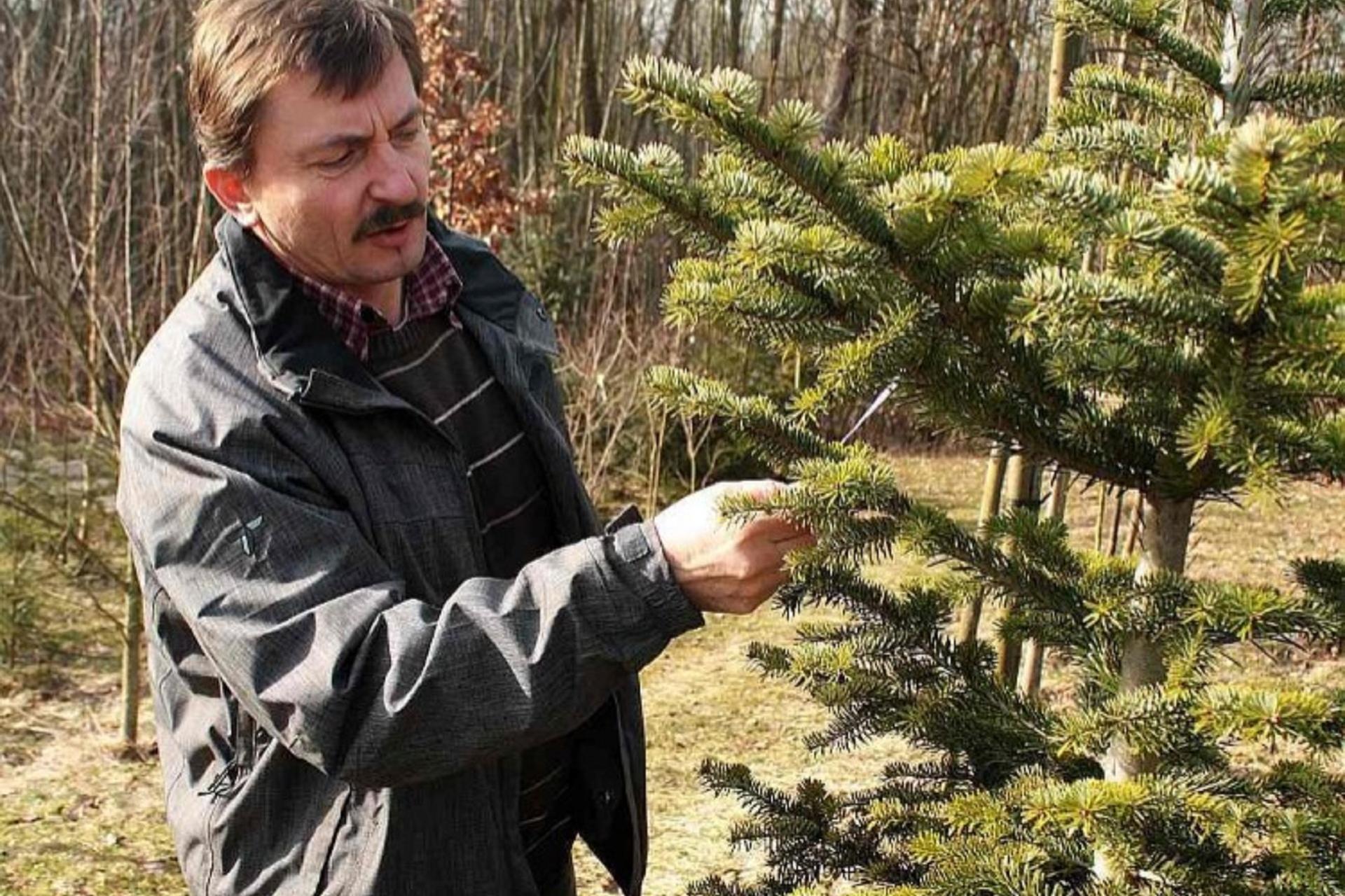 ARNIKA, Lesní a okrasné školky