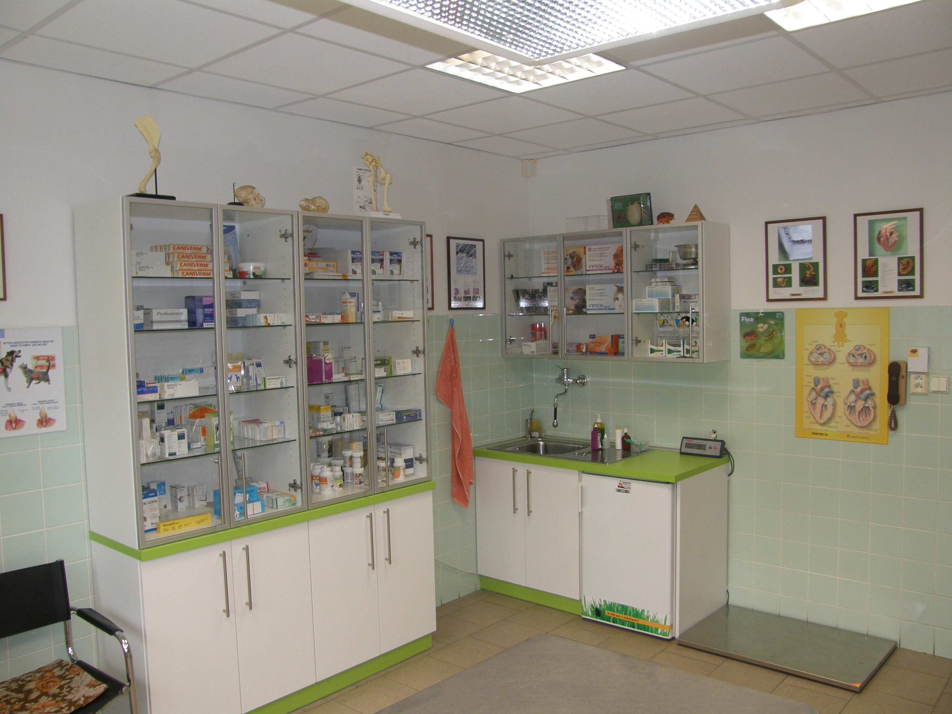 Veterinární ordinace MVDr. Helena Kořínková MVDr. Helena Kořínková foto 2