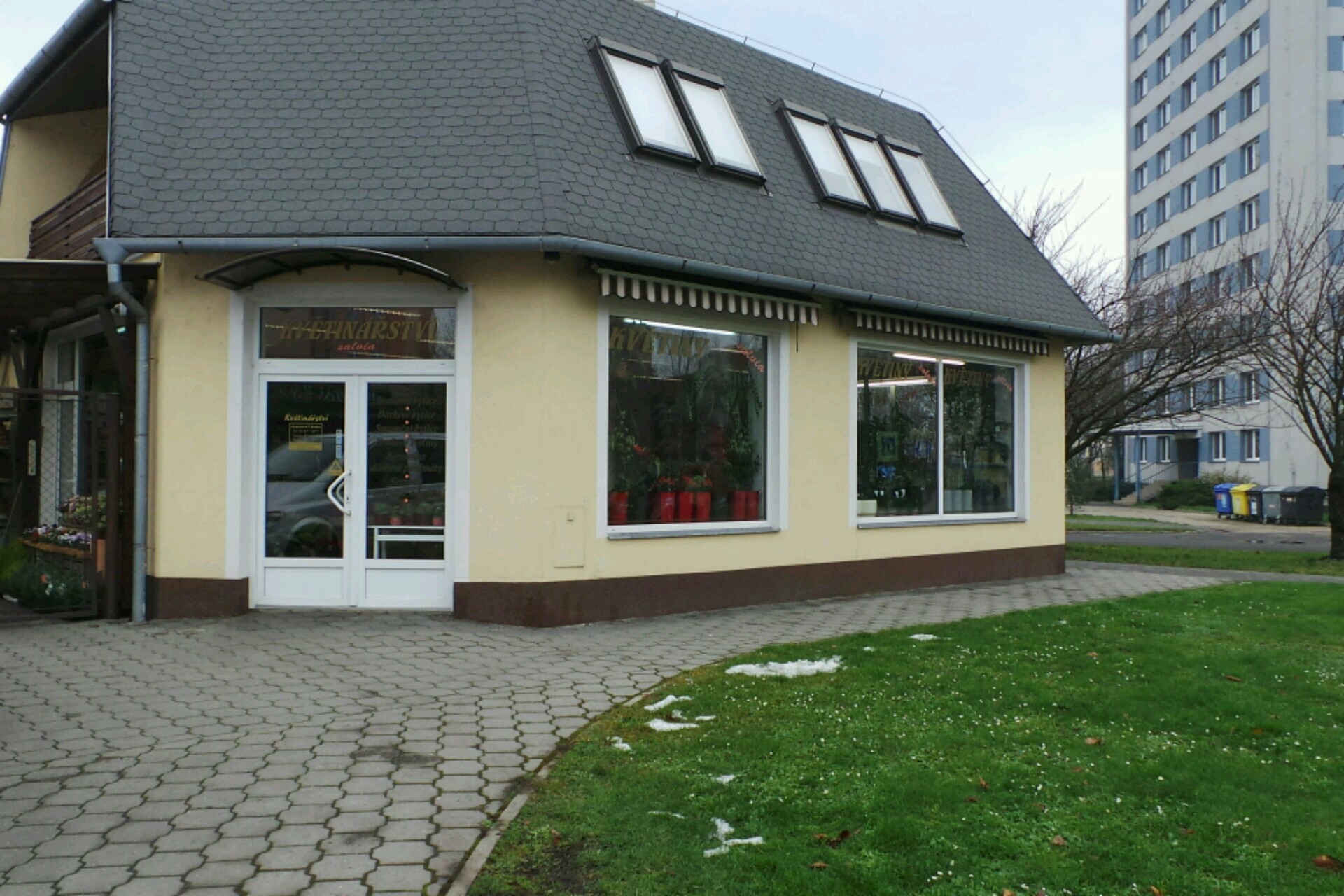 Květinářství Salvia