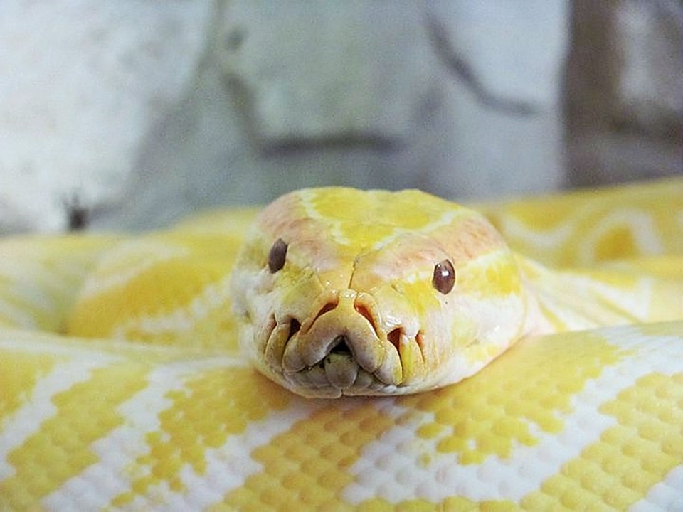 ZOOSHOP - Aneta Špindlerová foto 2