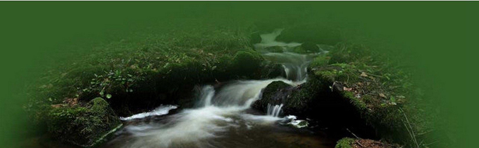 Městská správa lesů Pelhřimov, s.r.o. foto 2