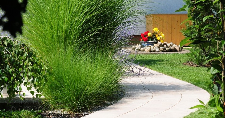 Living in green, s.r.o. foto 3