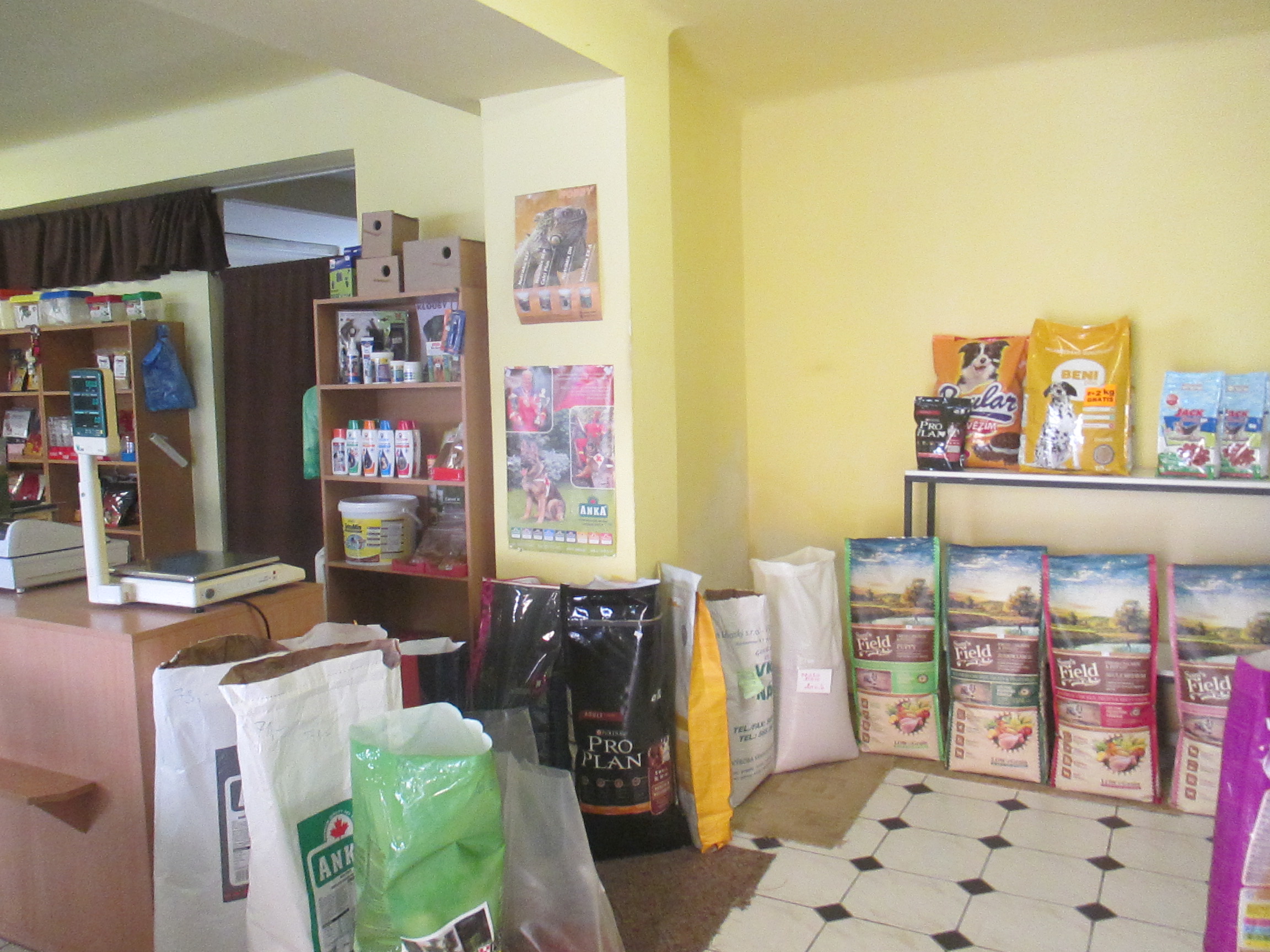 Zuzana Baxová foto 3