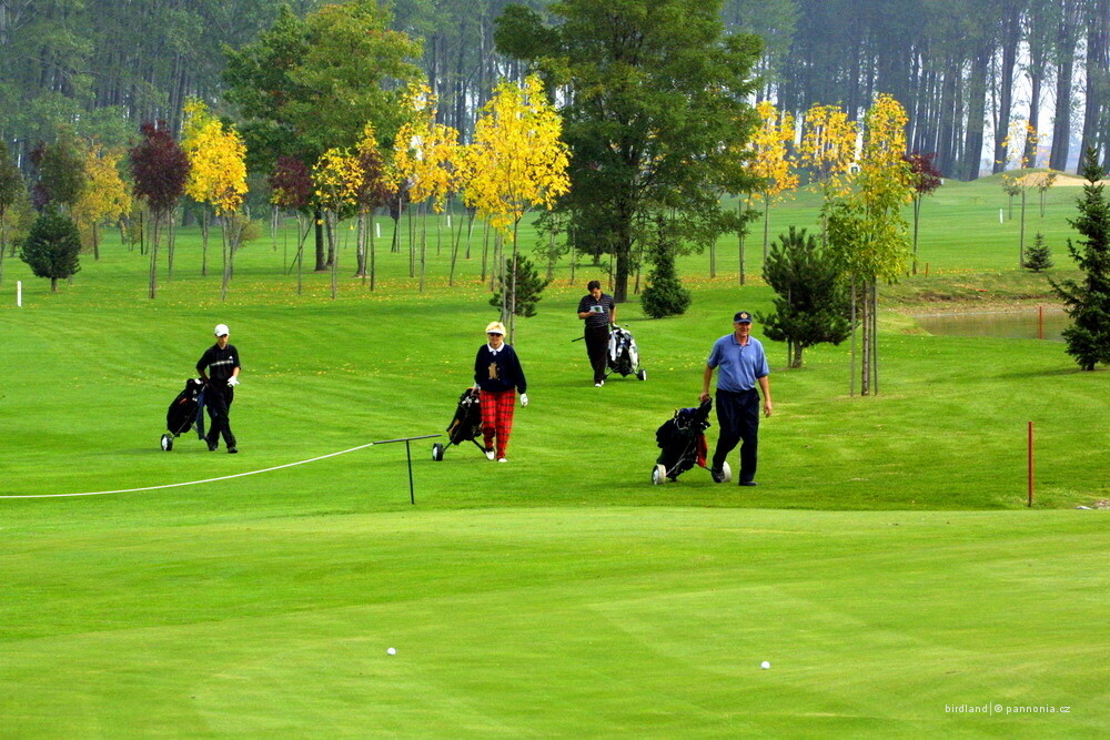 CK Pannonia foto 6