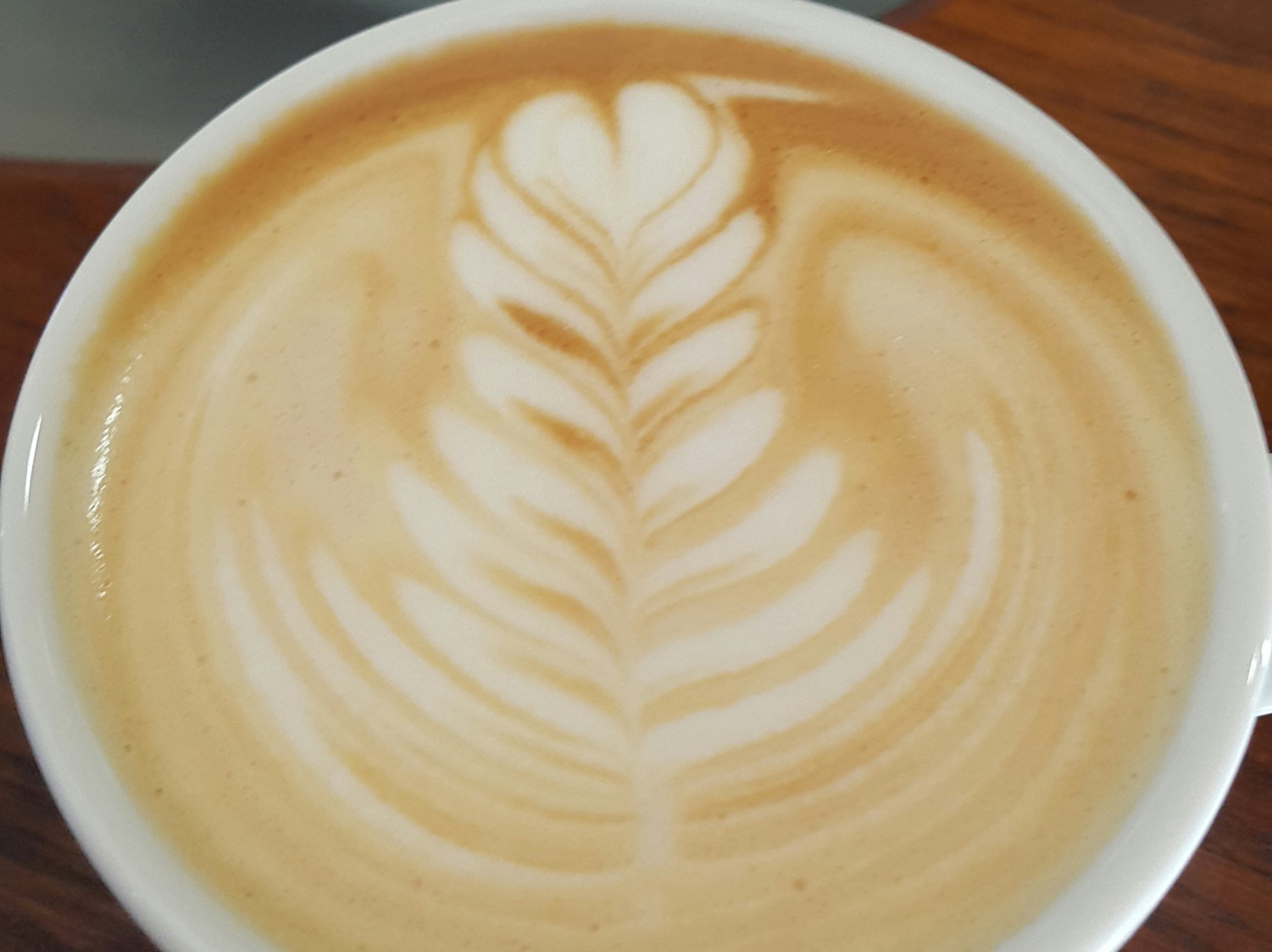 Café Chateau foto 3