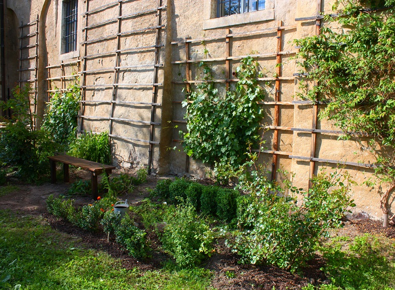 Jan Sedlák - Kulturní krajina foto 2