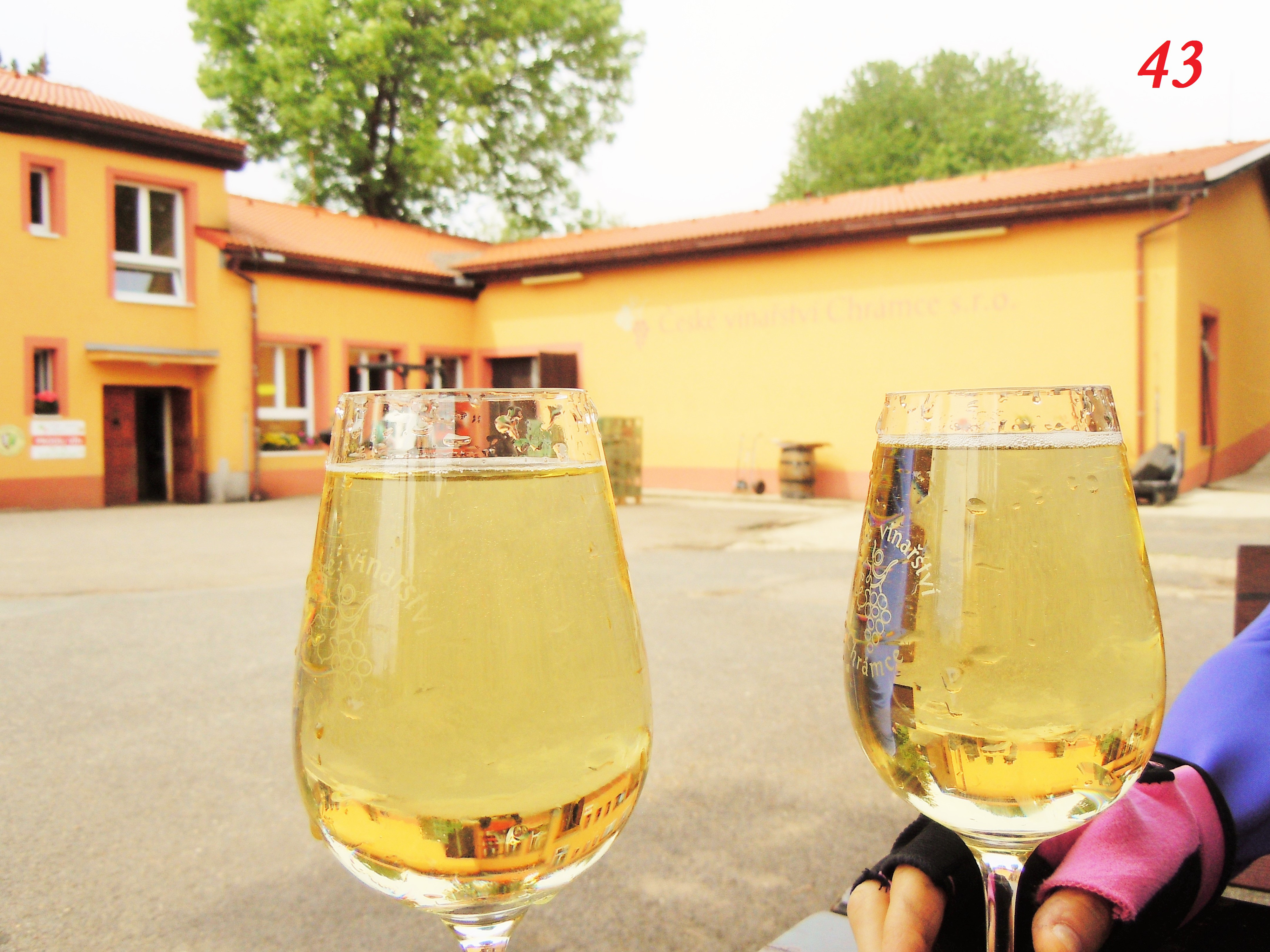 České vinařství Chrámce, s.r.o.