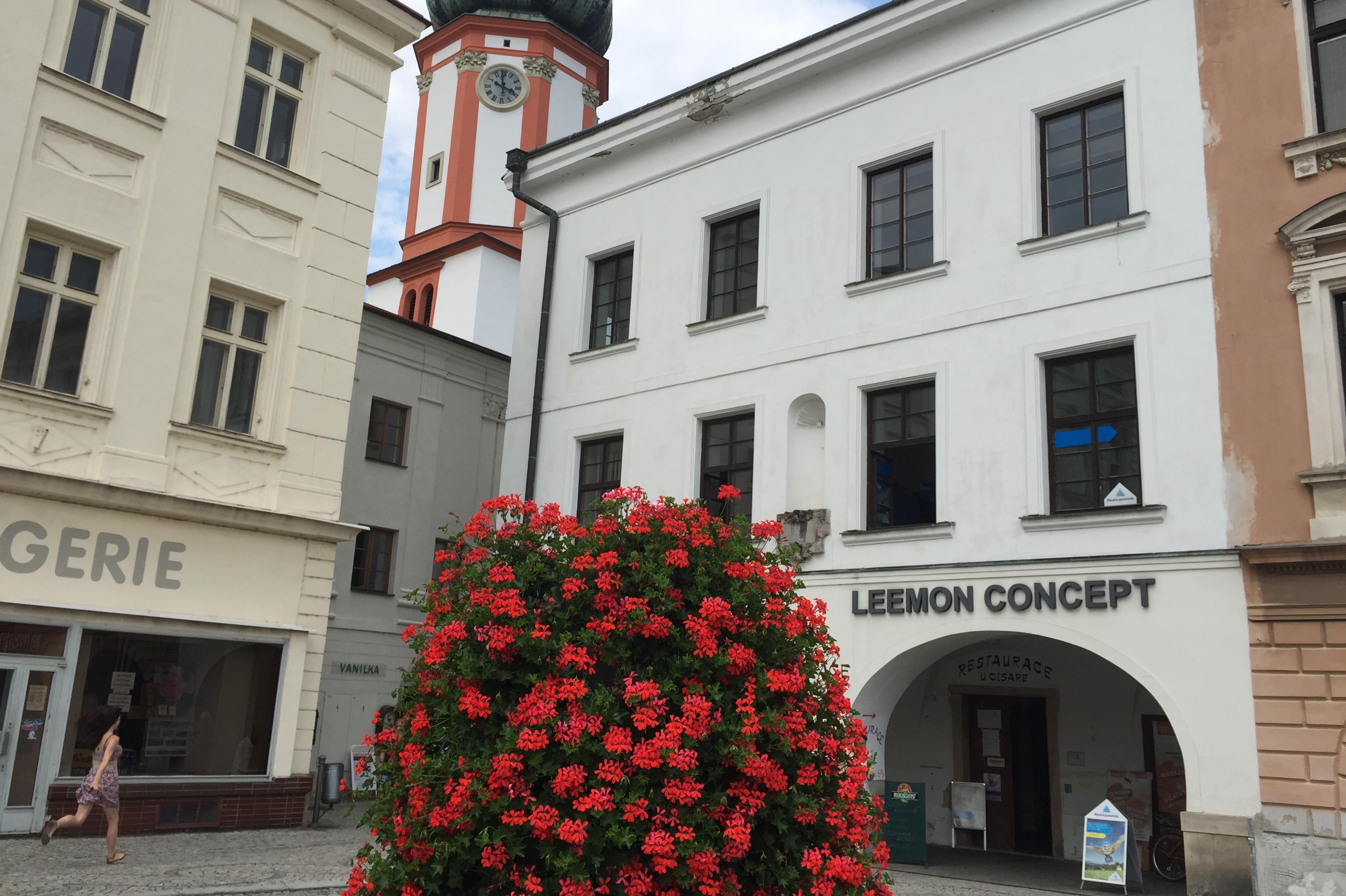 Leemon Concept, s.r.o.