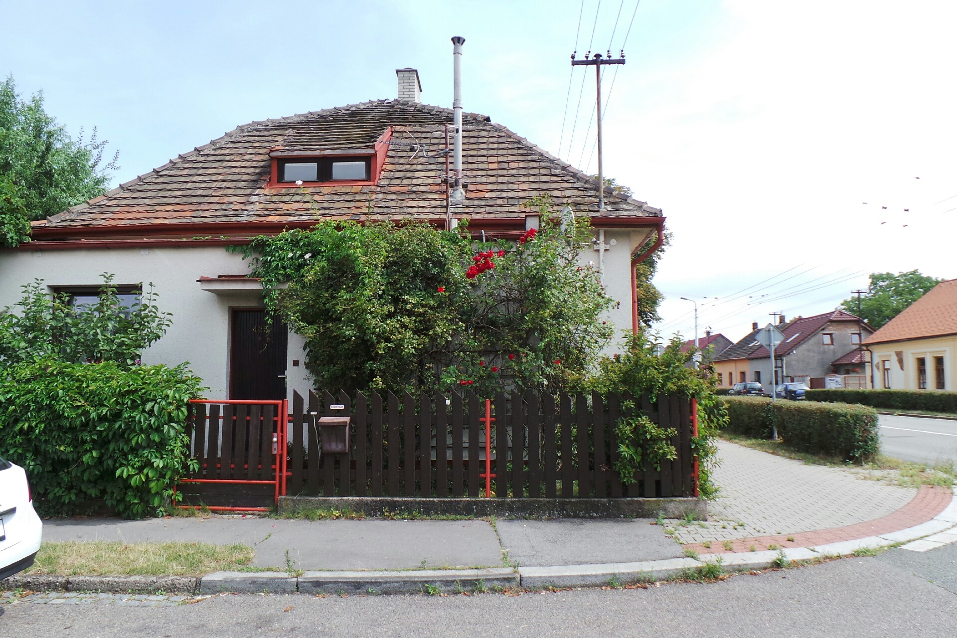 Chráníme stromy z.s.