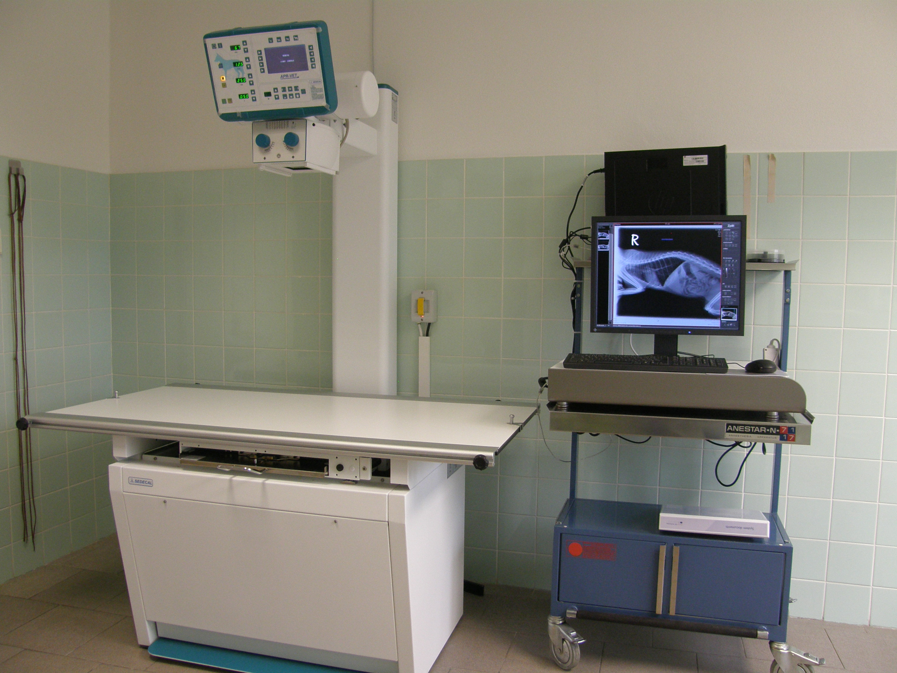 Veterinární ordinace MVDr. Helena Kořínková MVDr. Helena Kořínková foto 4