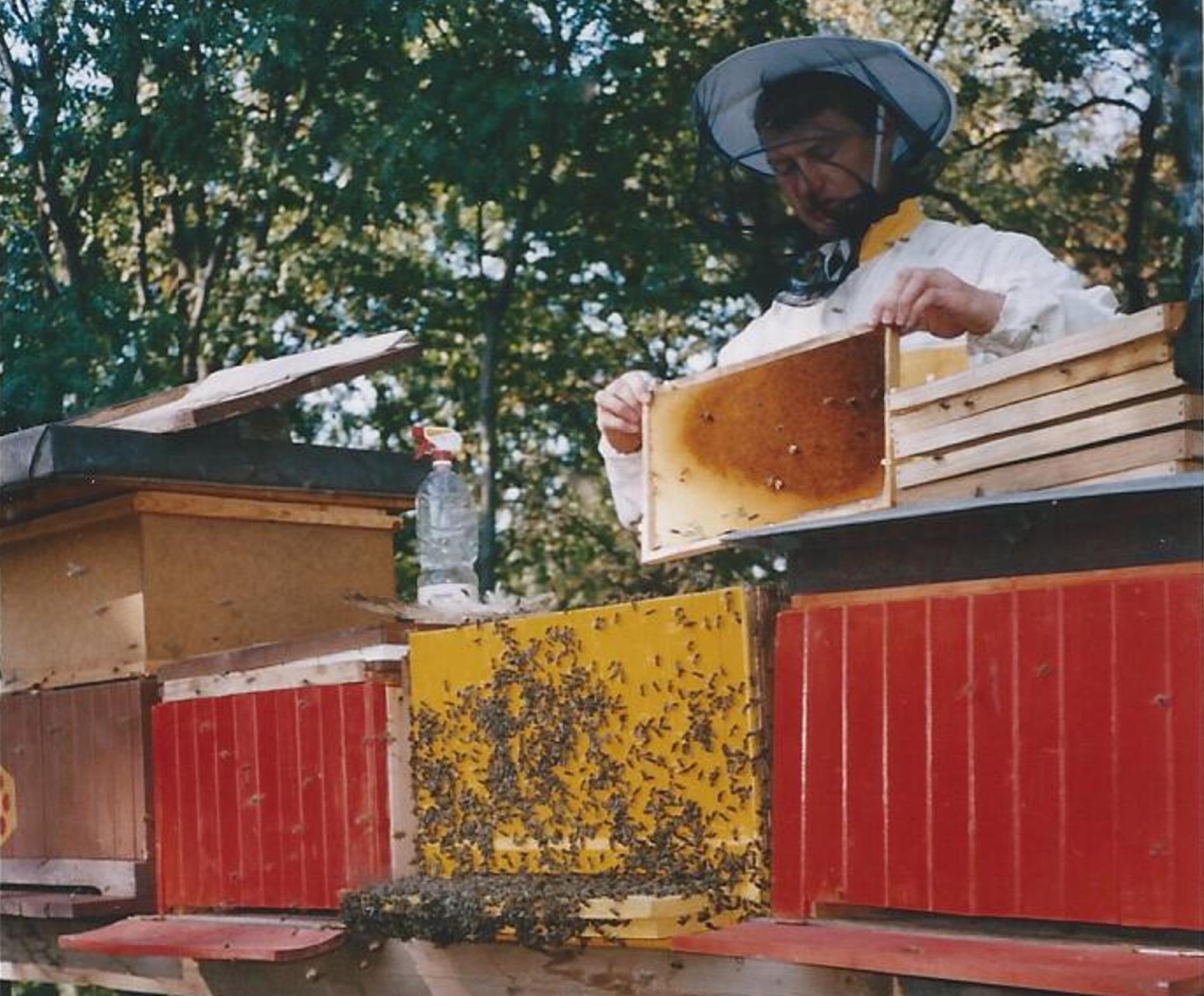 Včelařství Martin Rysner