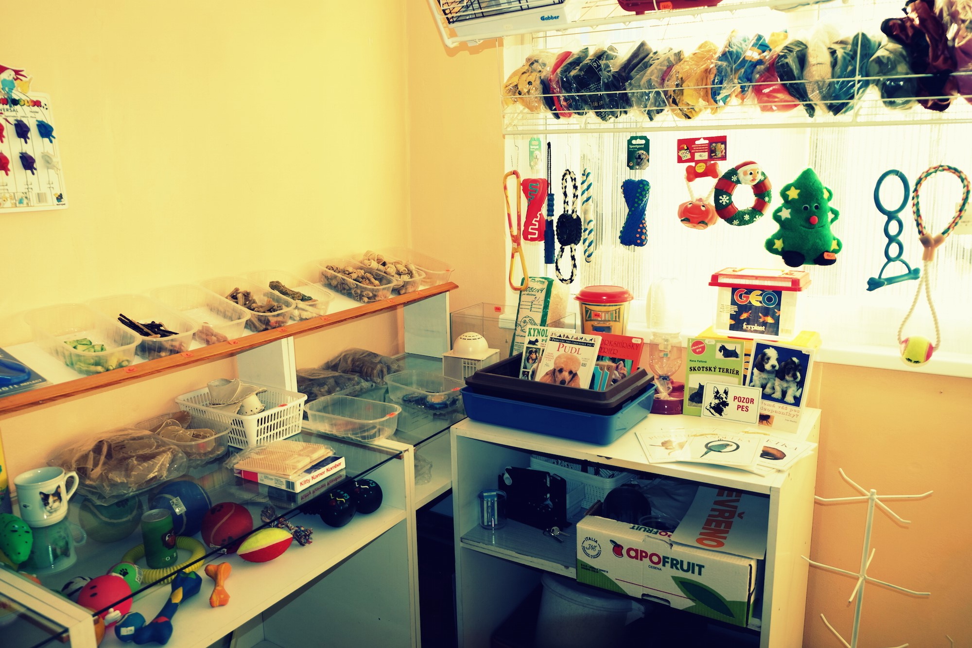 Salon Zorka - Ing. Dagmar Halířová foto 4