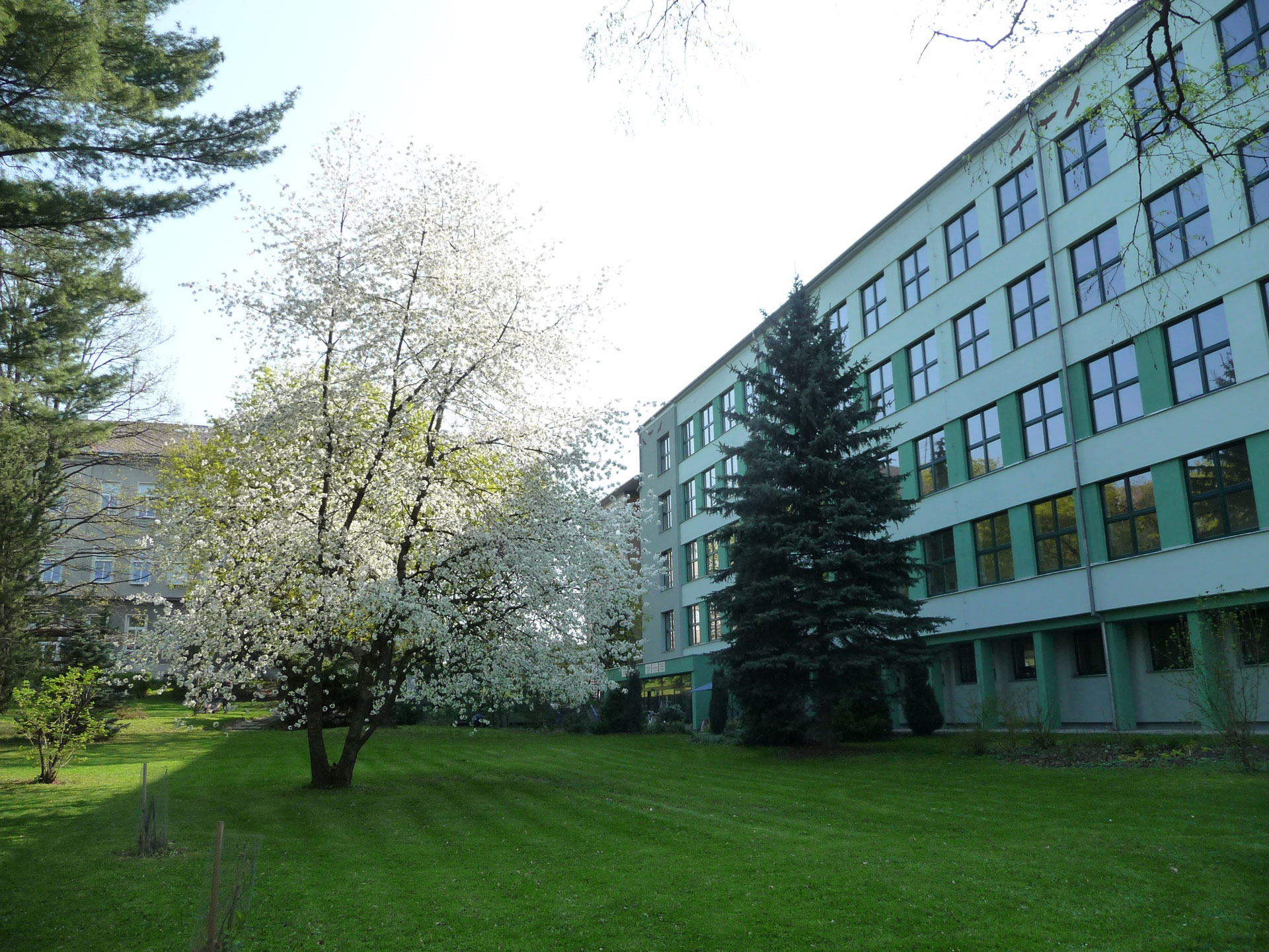 SOŠ veterinární, mechanizační a zahradnická a Jazyková škola s právem státní jazykové zkoušky, České Budějovice, Rudolfovská 92 foto 3