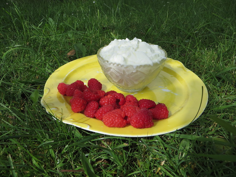 FARMA A UBYTOVÁNÍ U OTČENÁŠKŮ foto 3