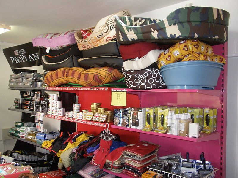 Specializovaná prodejna pro psy  - FOR PETS s.r.o. foto 4