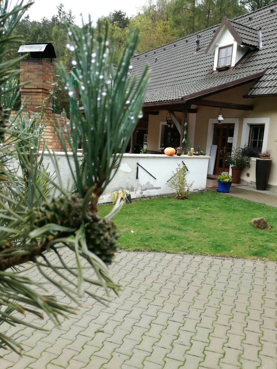 Penzion Hájovna u Dubu foto 3