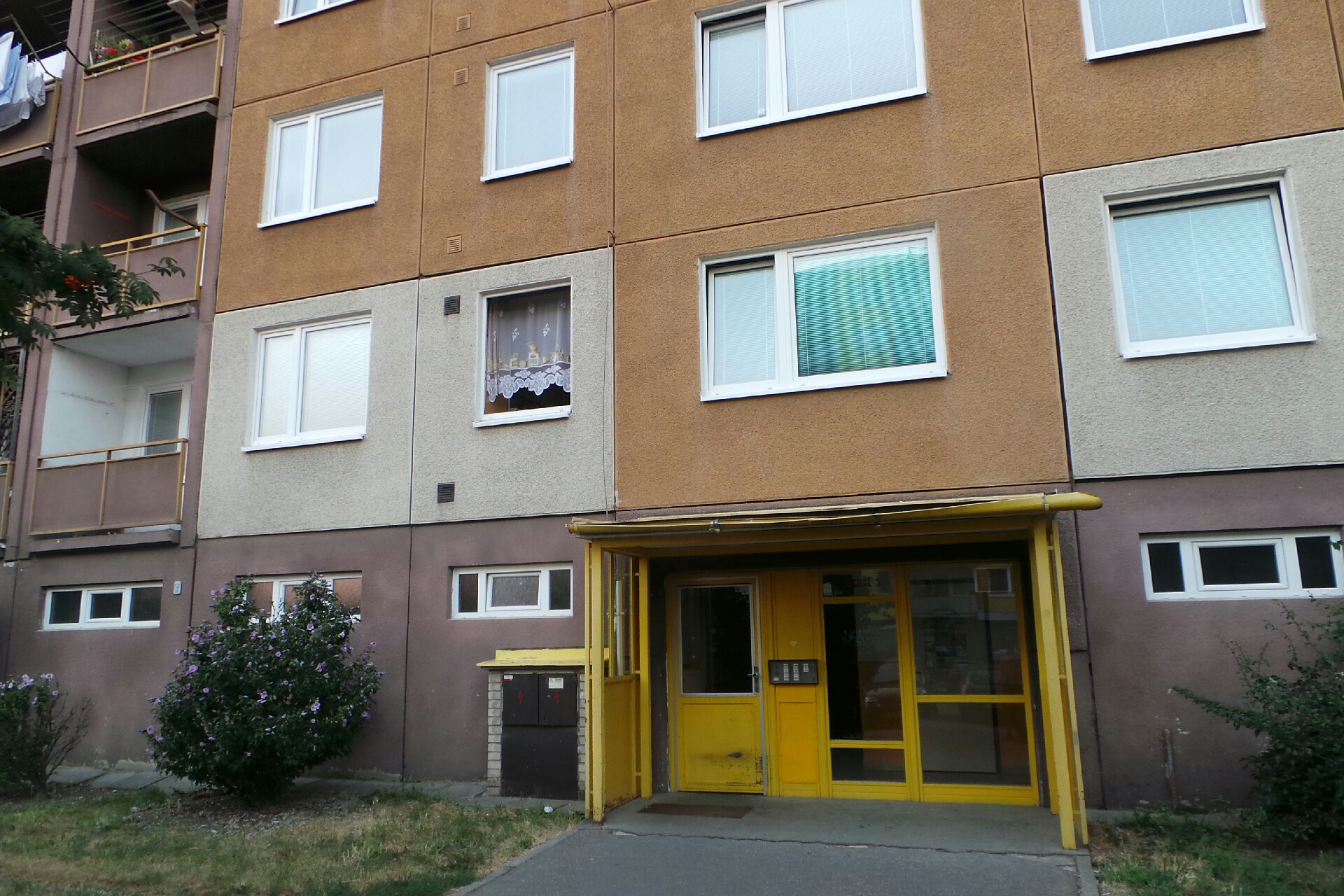 Ing. Martina Lysková