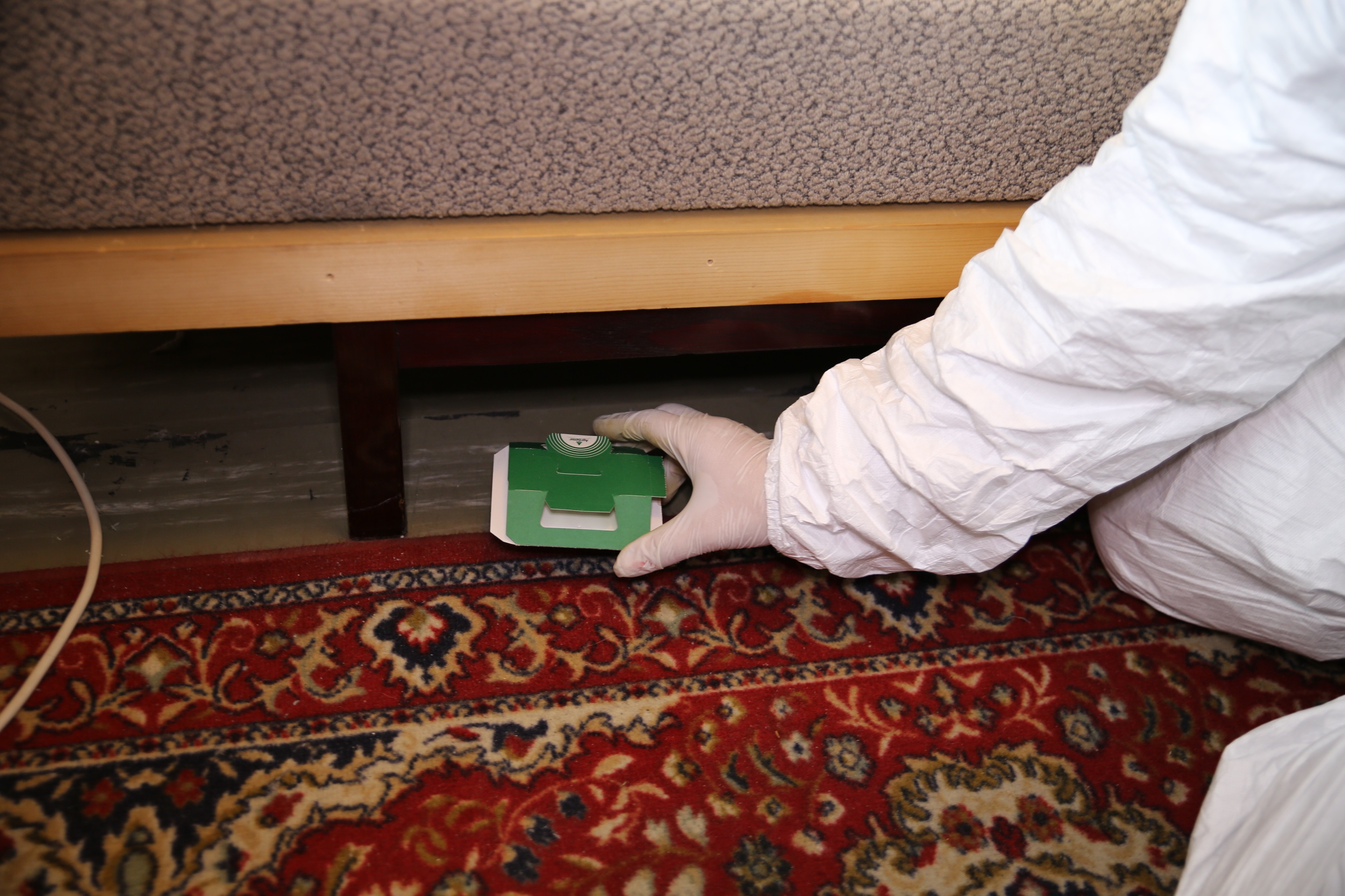 Deratizace Deraplus foto 3