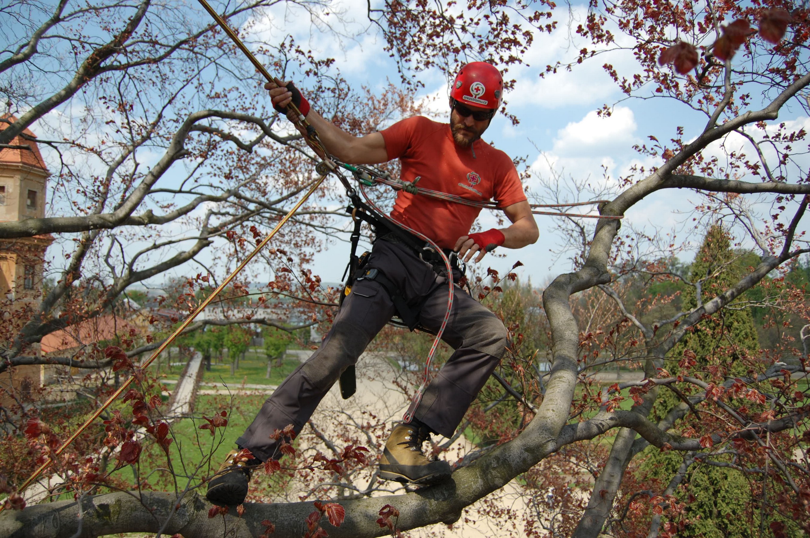 Ořez Stromů - Radovan Kučera foto 3