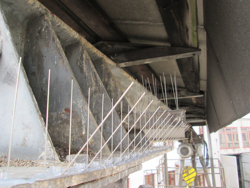 Miloslav Poustka foto 2