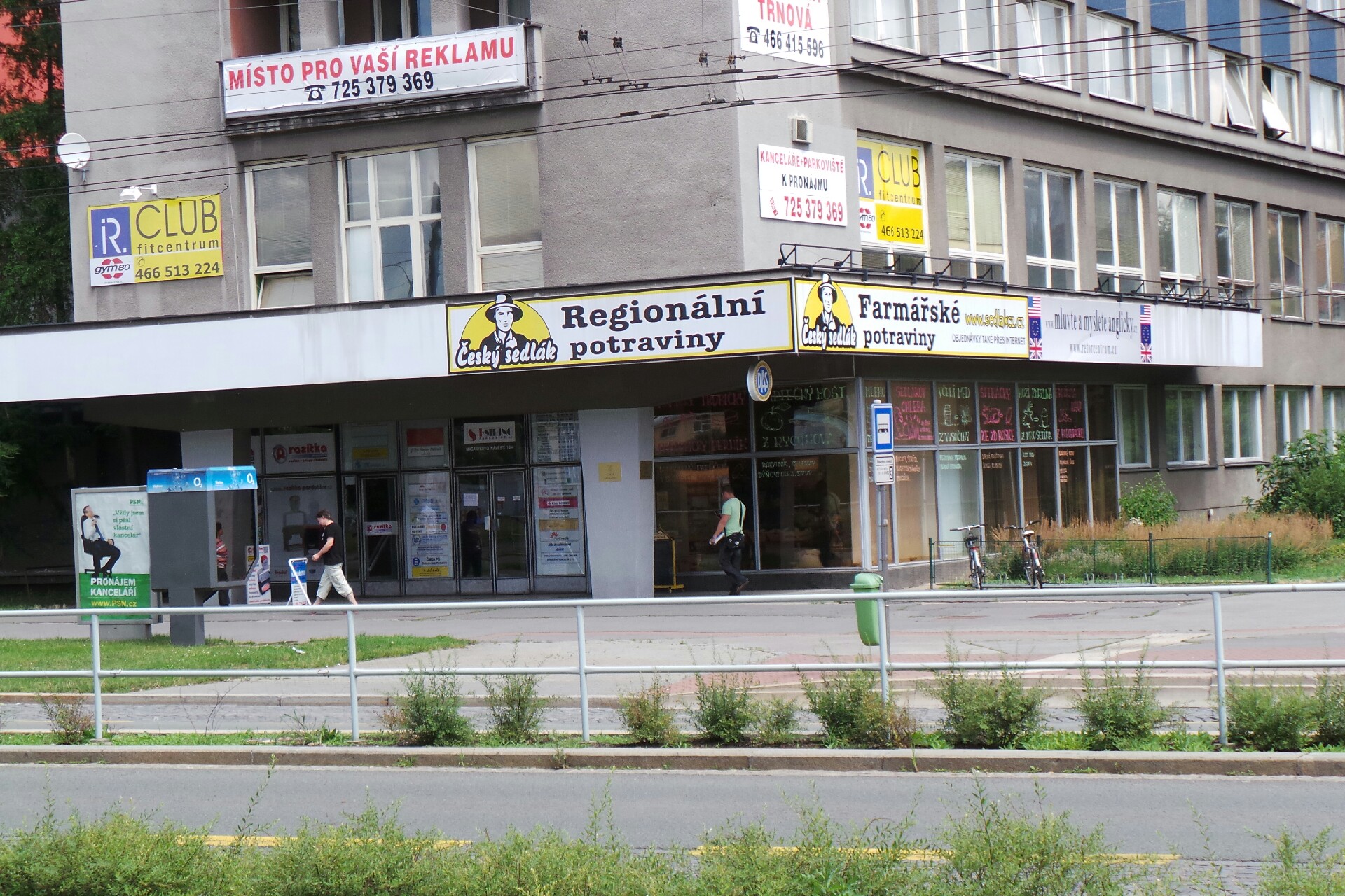 JUDr. Blanka Šimková