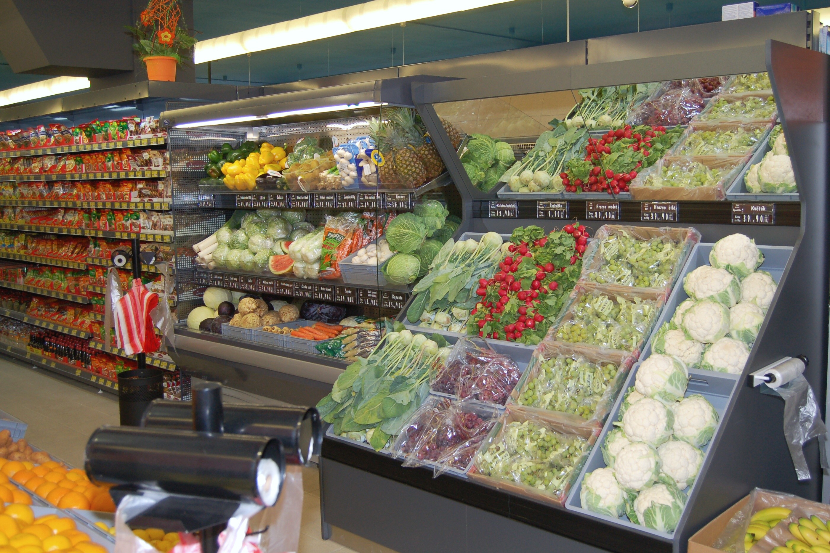 Qanto market foto 6