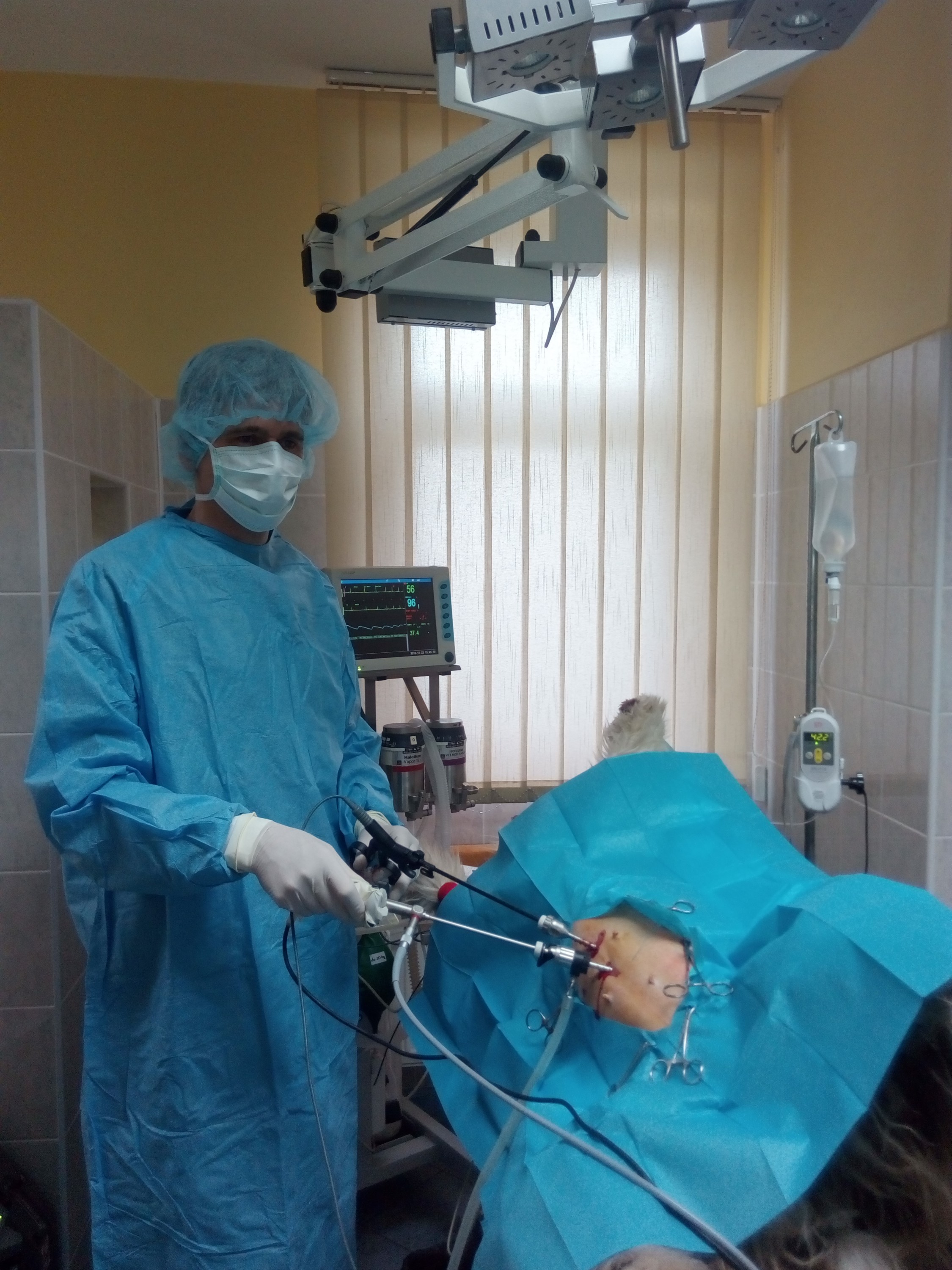 Veterinární ordinace - MVDr. Luděk Kučera foto 2