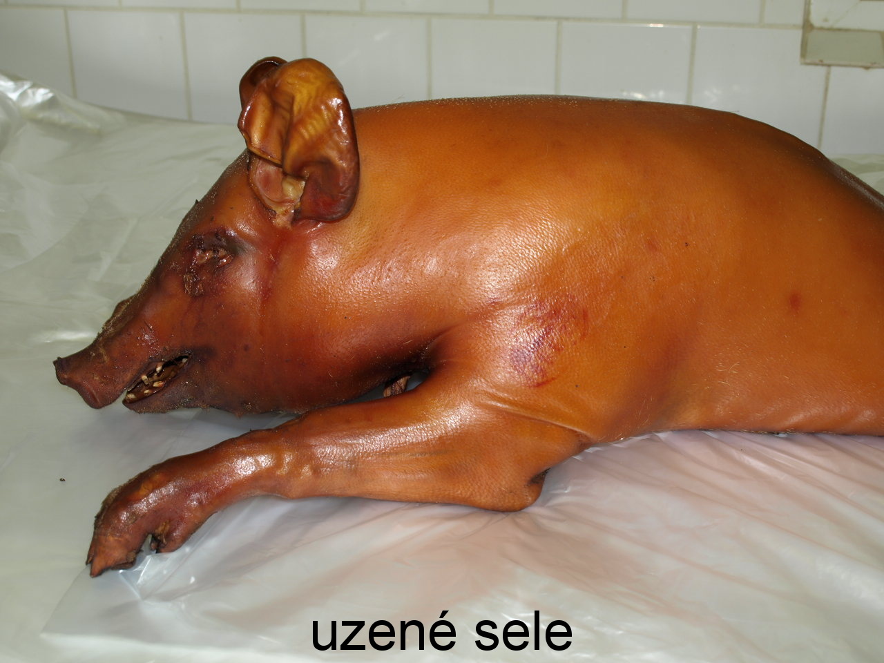 Váša spol.s.r.o. foto 5