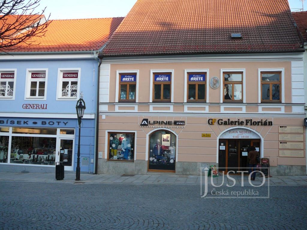 Gatta Nera shop foto 3