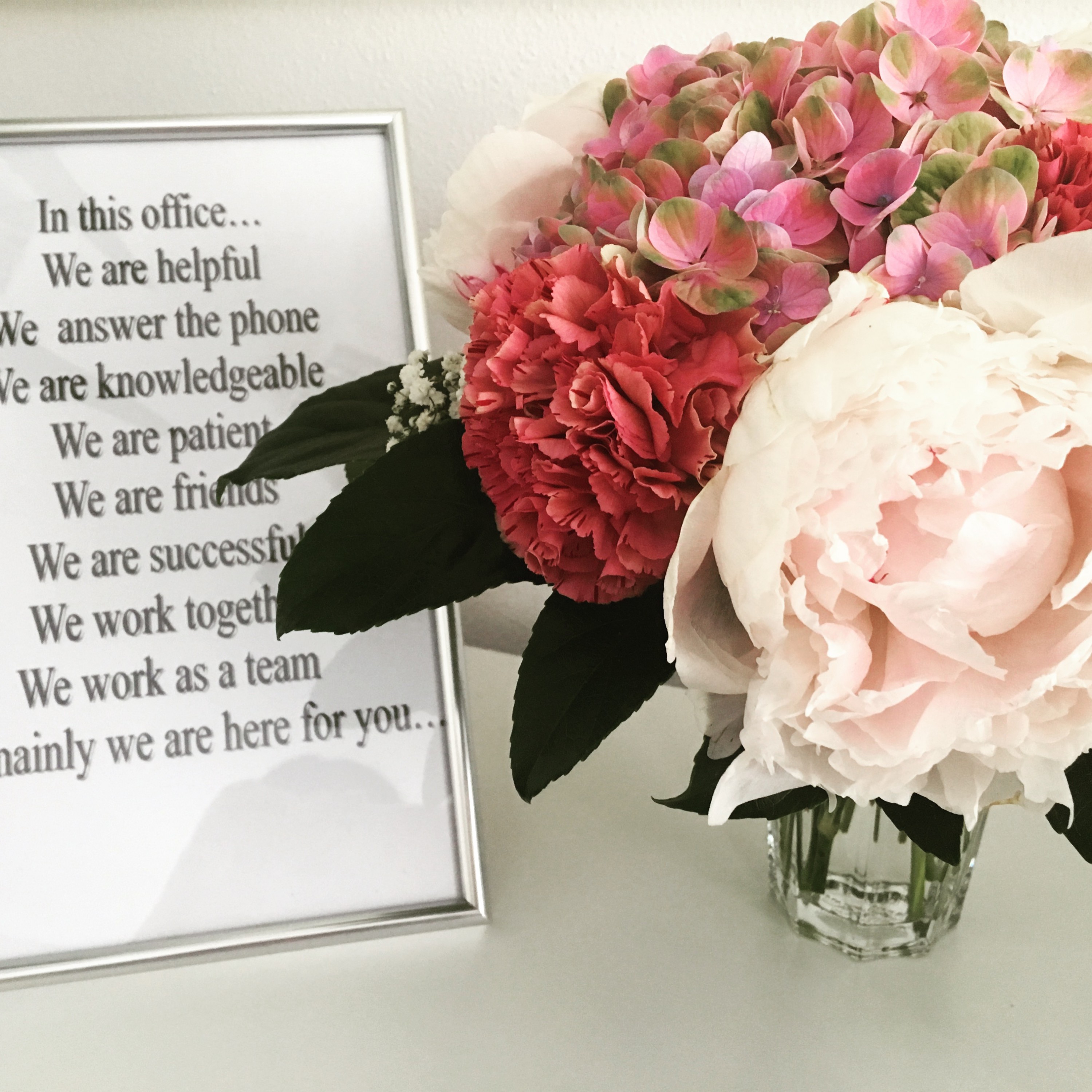 Jazyková škola SALZER MS foto 4