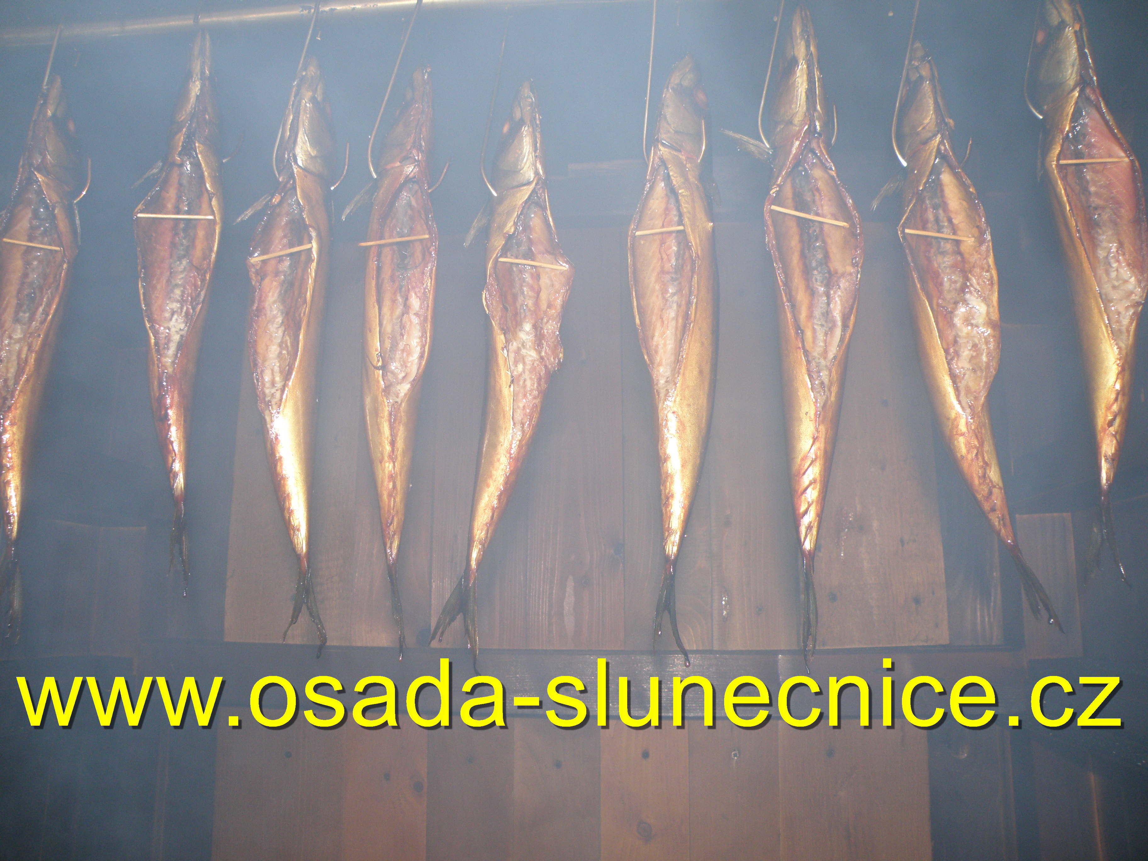 Chatová osada Slunečnice foto 3