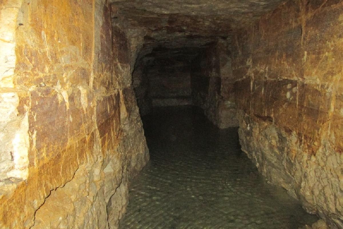 Vladimír Komárek - Čistý vrt