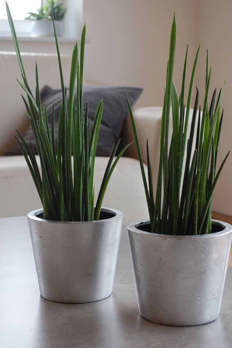 Eshop-květináče.cz foto 6