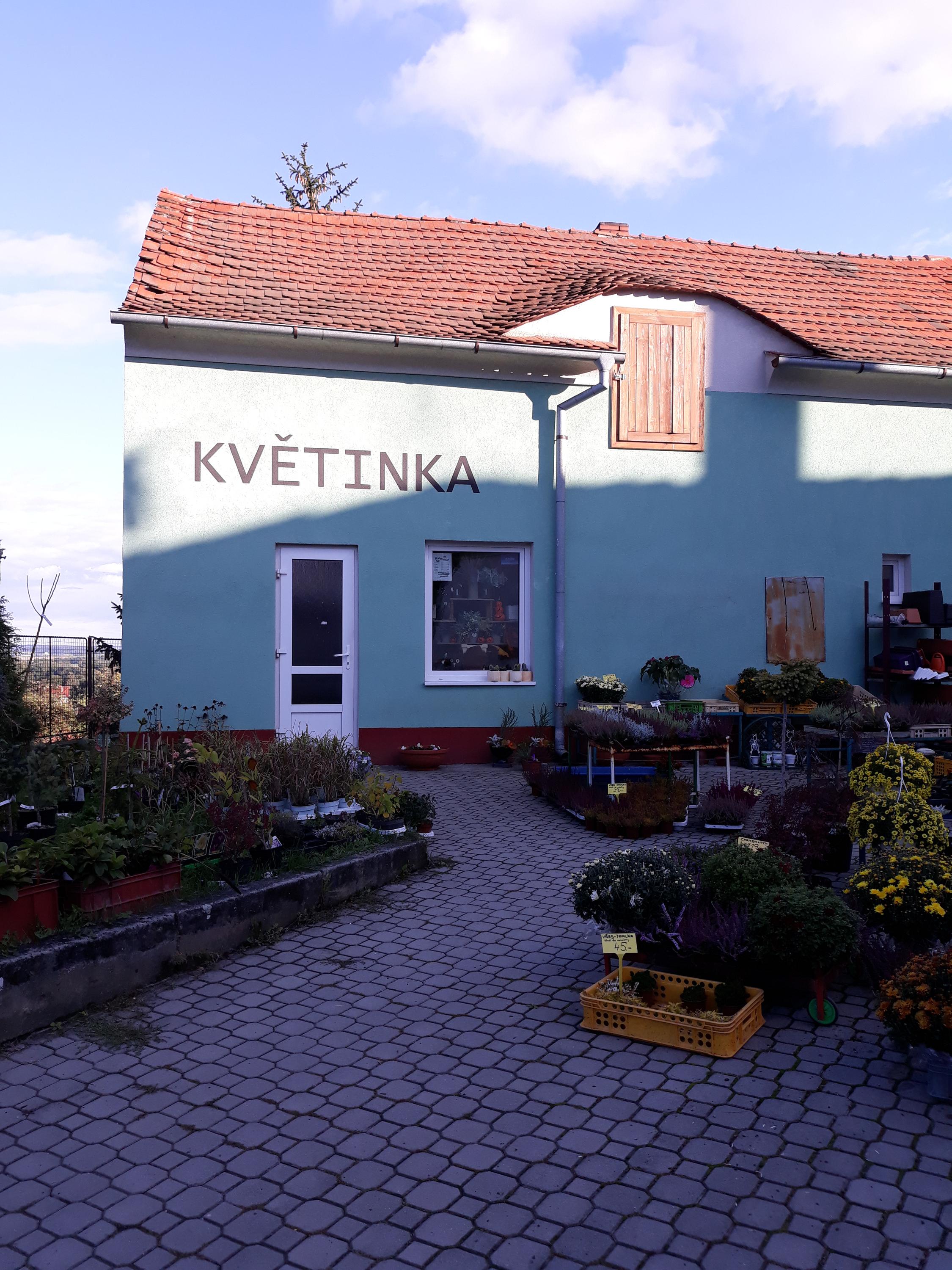 Květinka Blanka foto 2