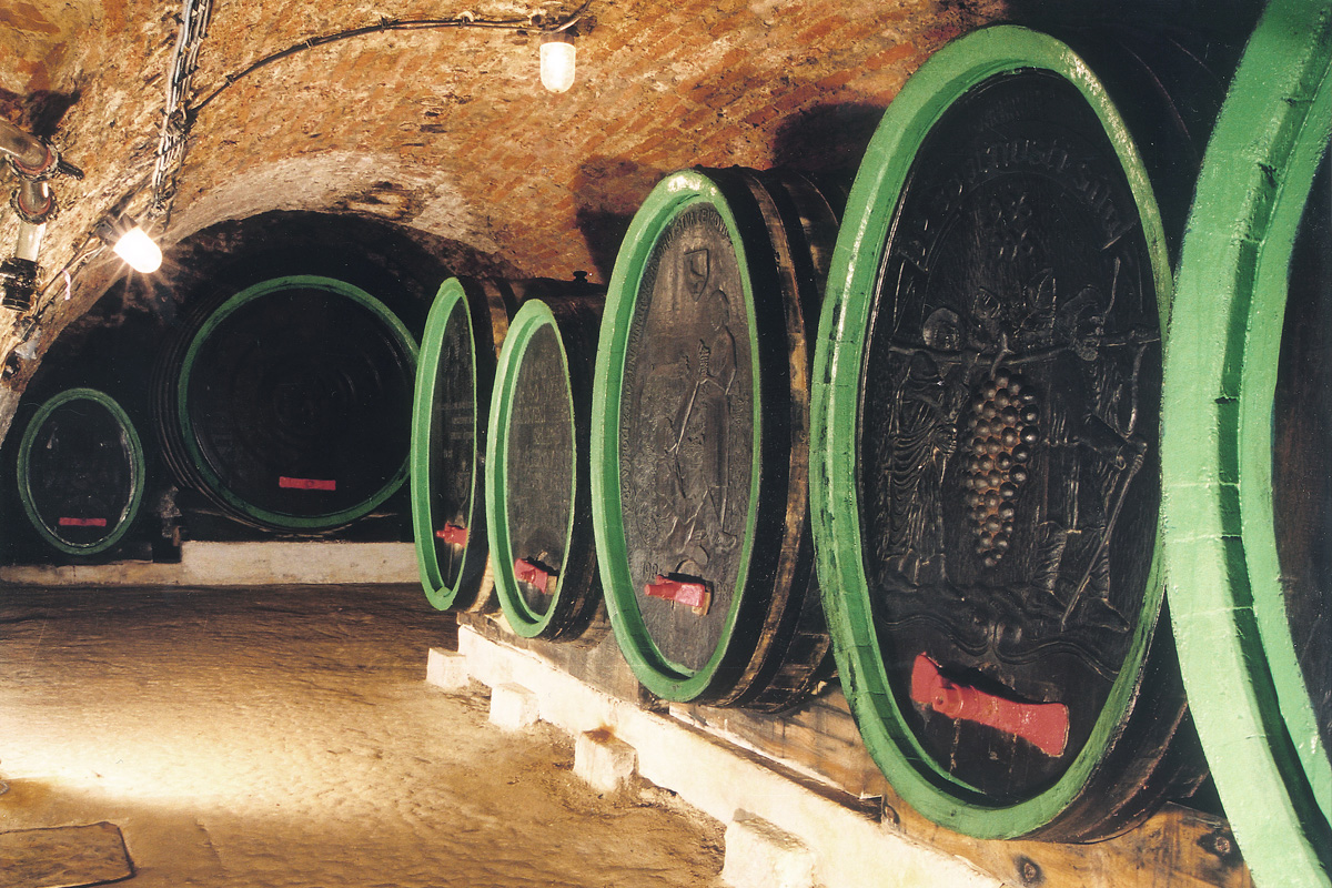 Templářské sklepy Čejkovice, vinařské družstvo, družstvo foto 4