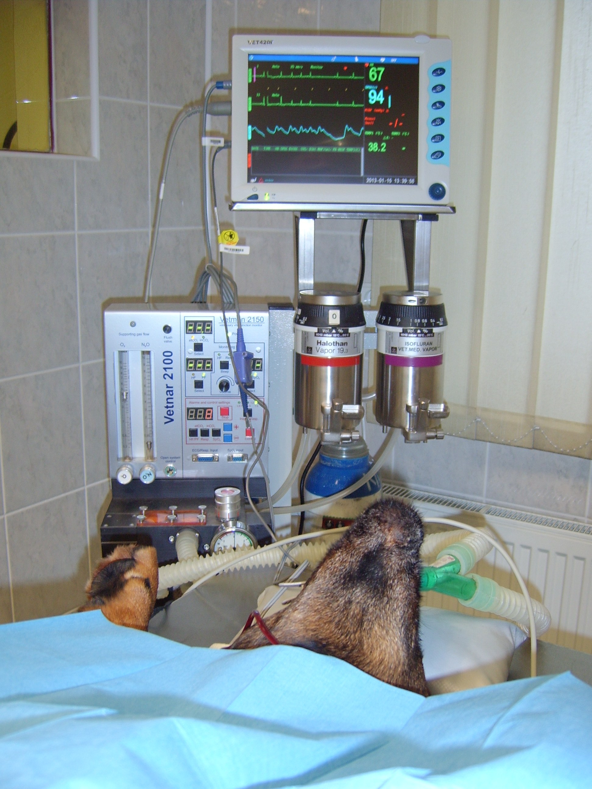 Veterinární ordinace - MVDr. Luděk Kučera foto 3