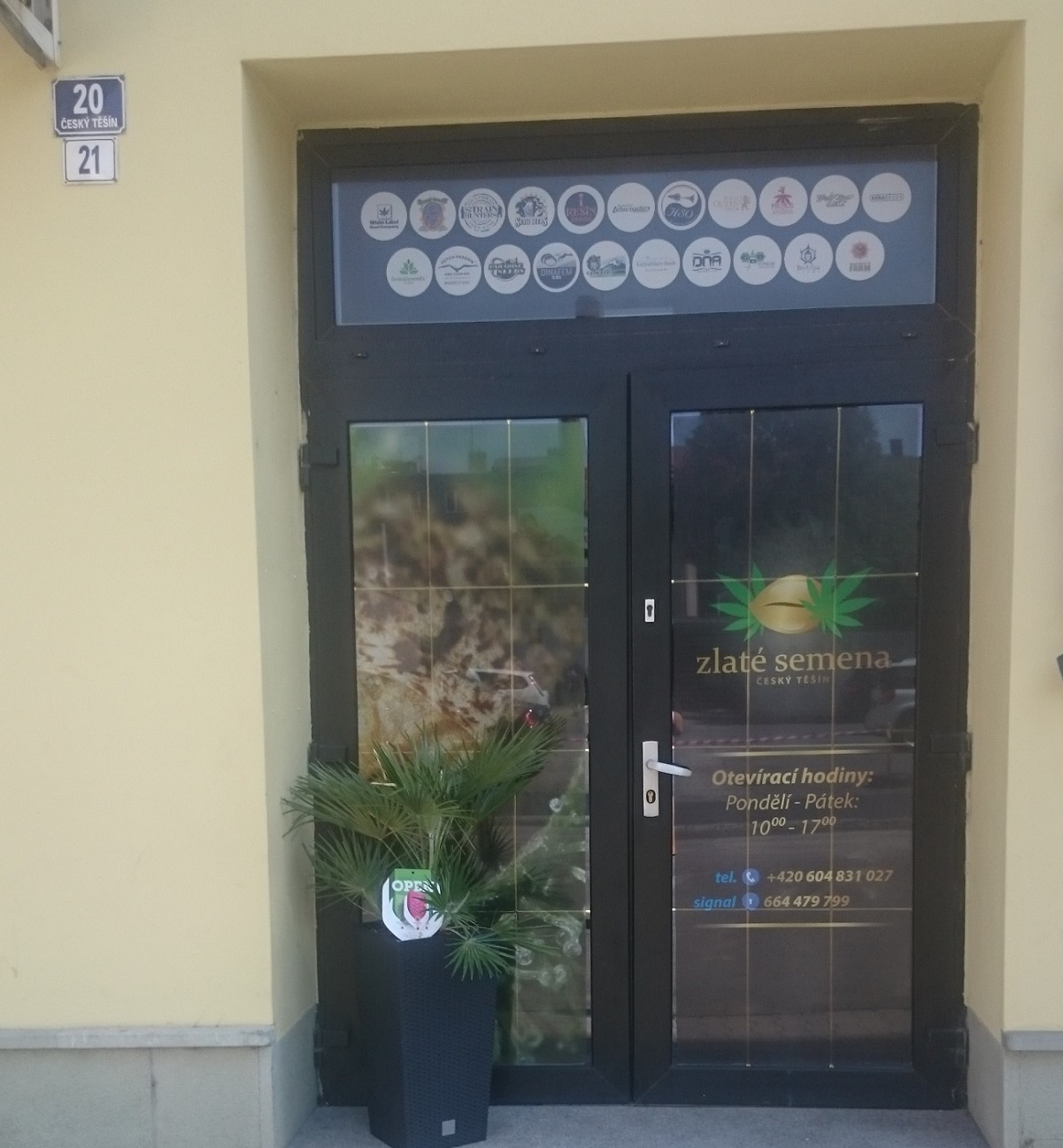 Zlaté semena Český Těšín foto 2