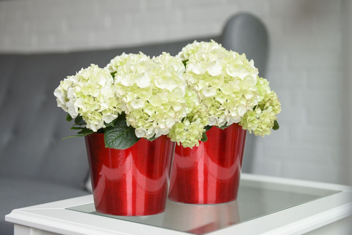 Eshop-květináče.cz foto 5