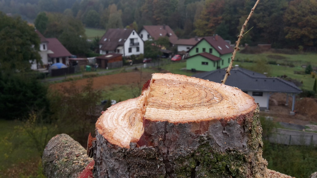 Lanaři.cz - výškové a arboristické práce foto 5