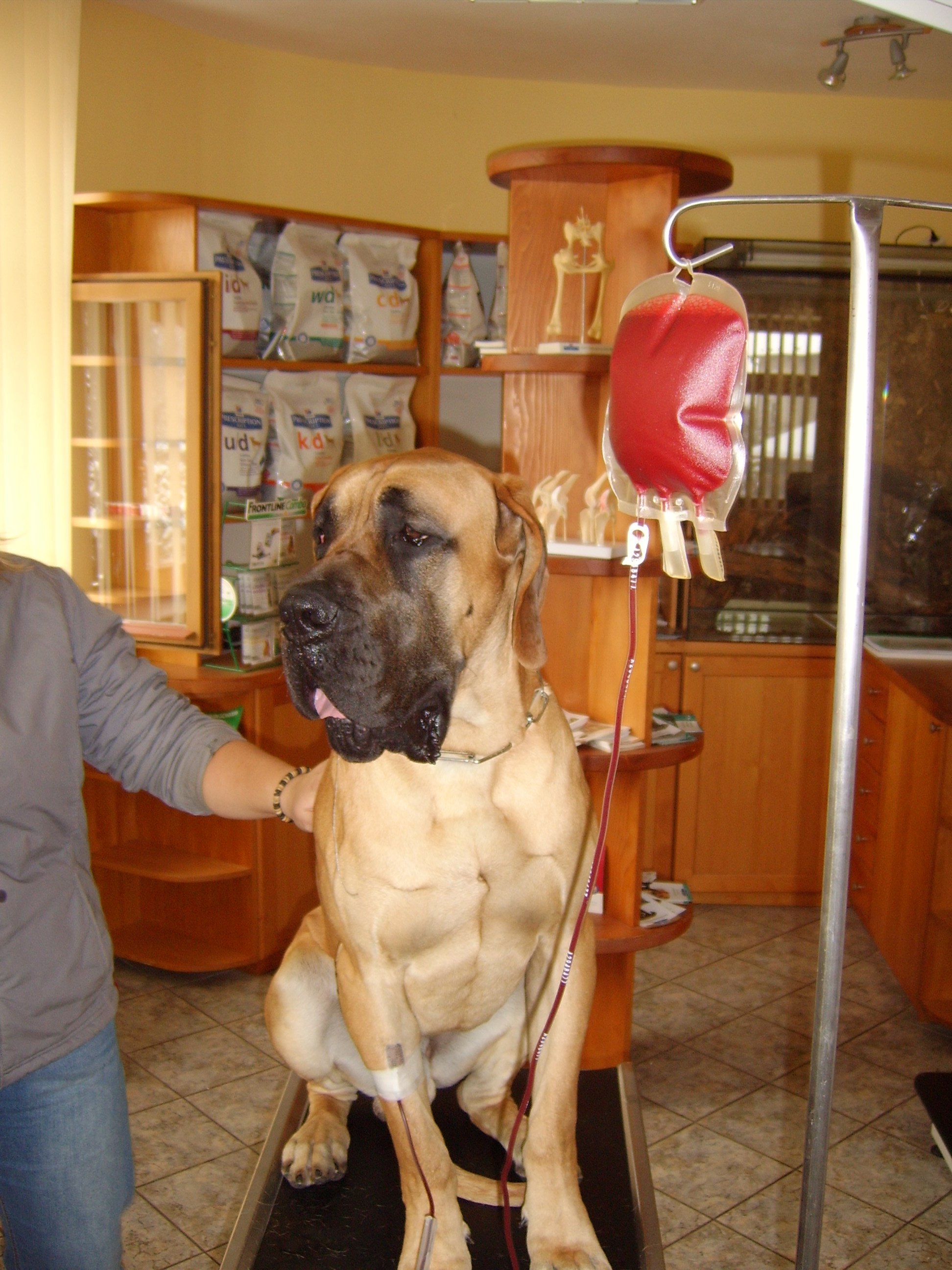 Veterinární ordinace - MVDr. Luděk Kučera foto 3