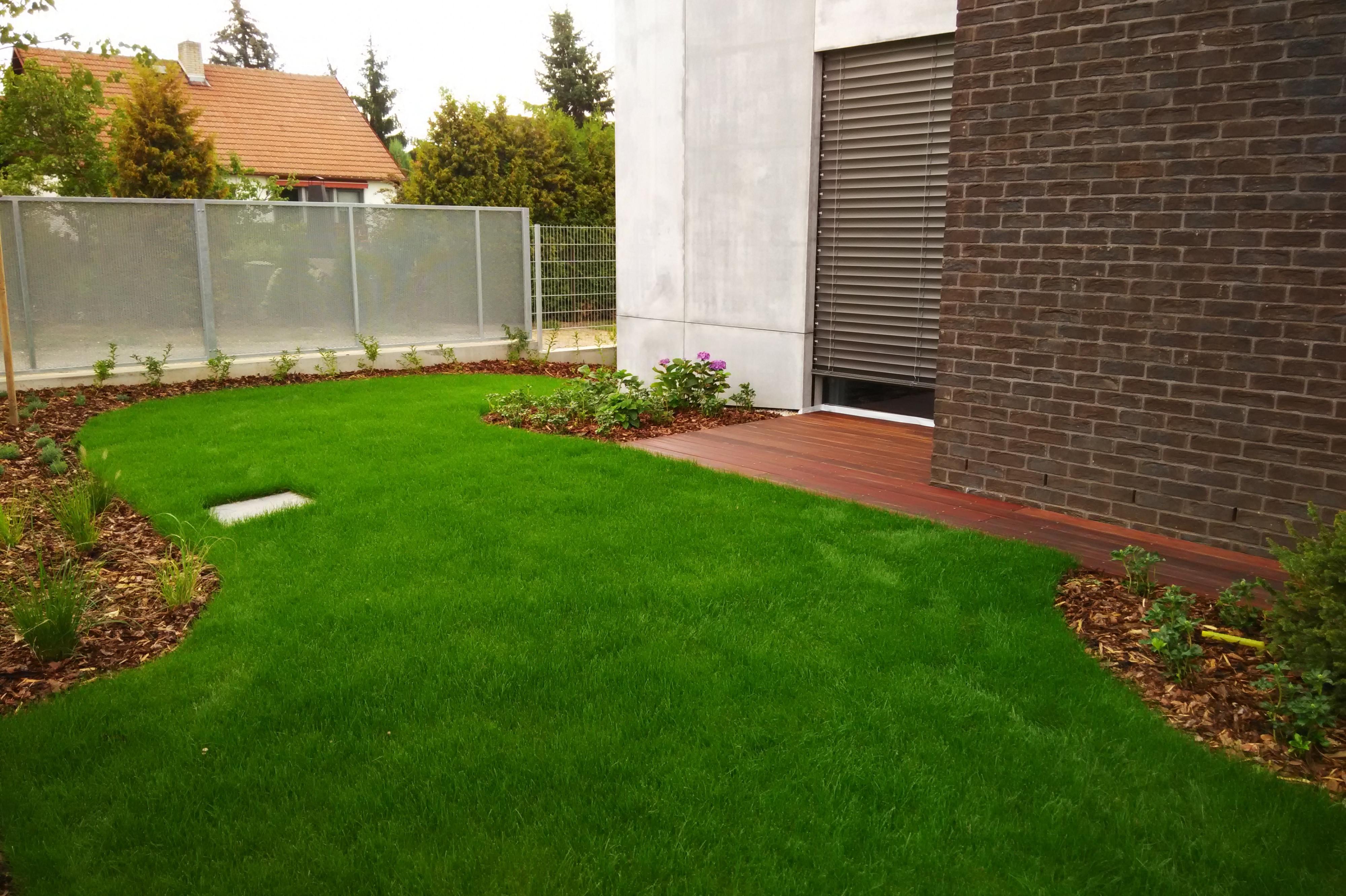 Martin Holas - Profik.com