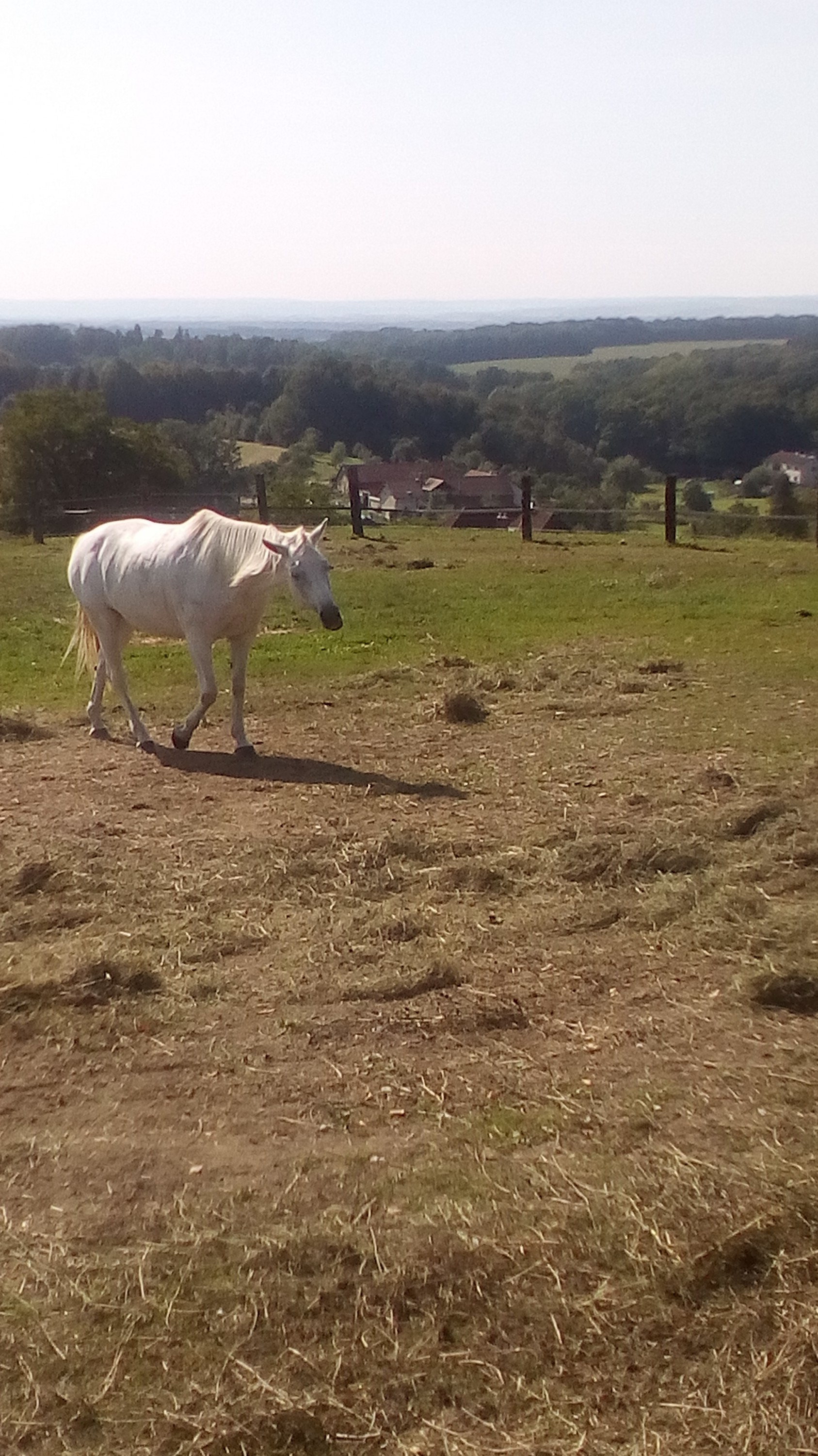 Jízdárna Ranč Moneta foto 5