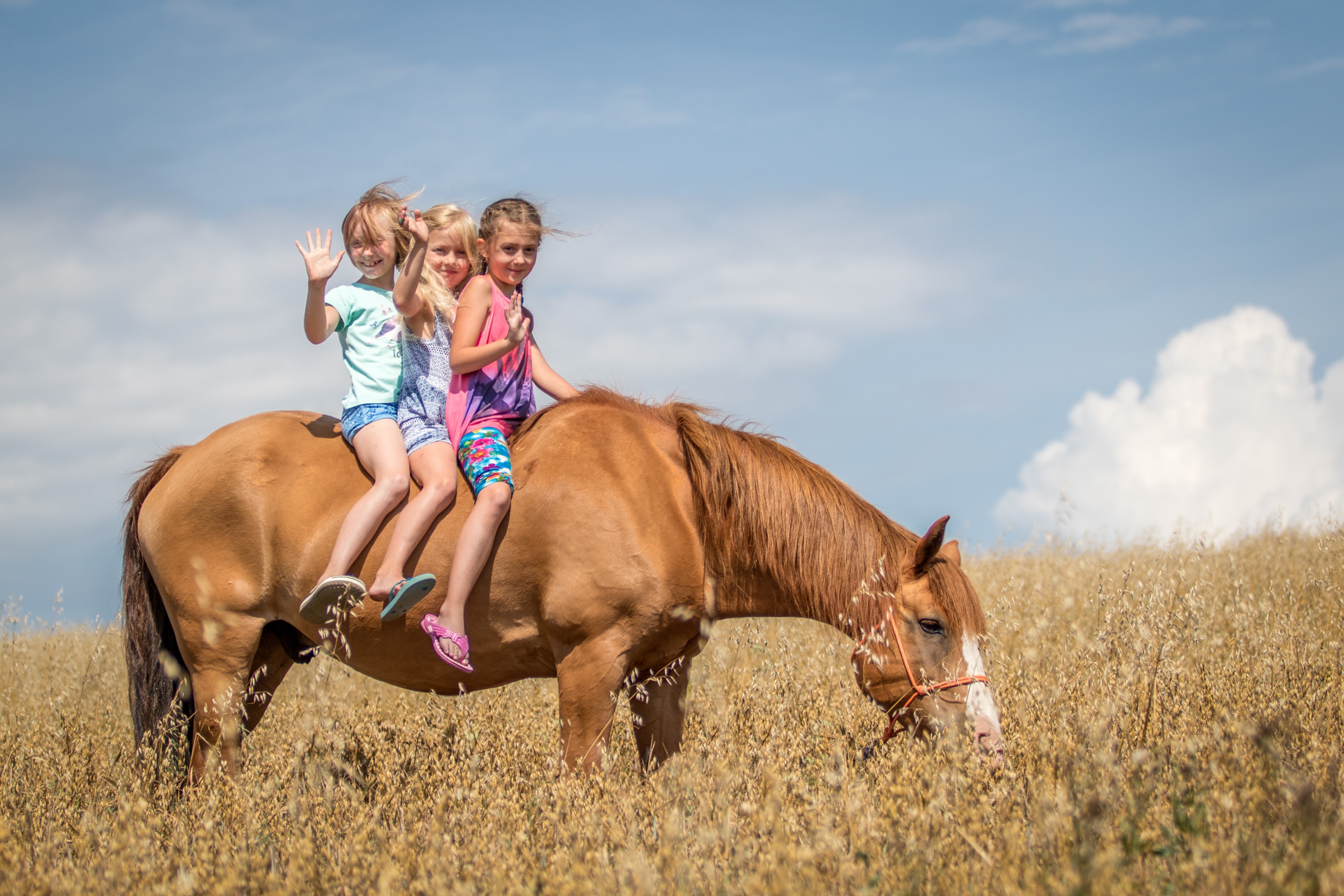 Ranč pod Skálou Třebívlice, z.s. foto 3