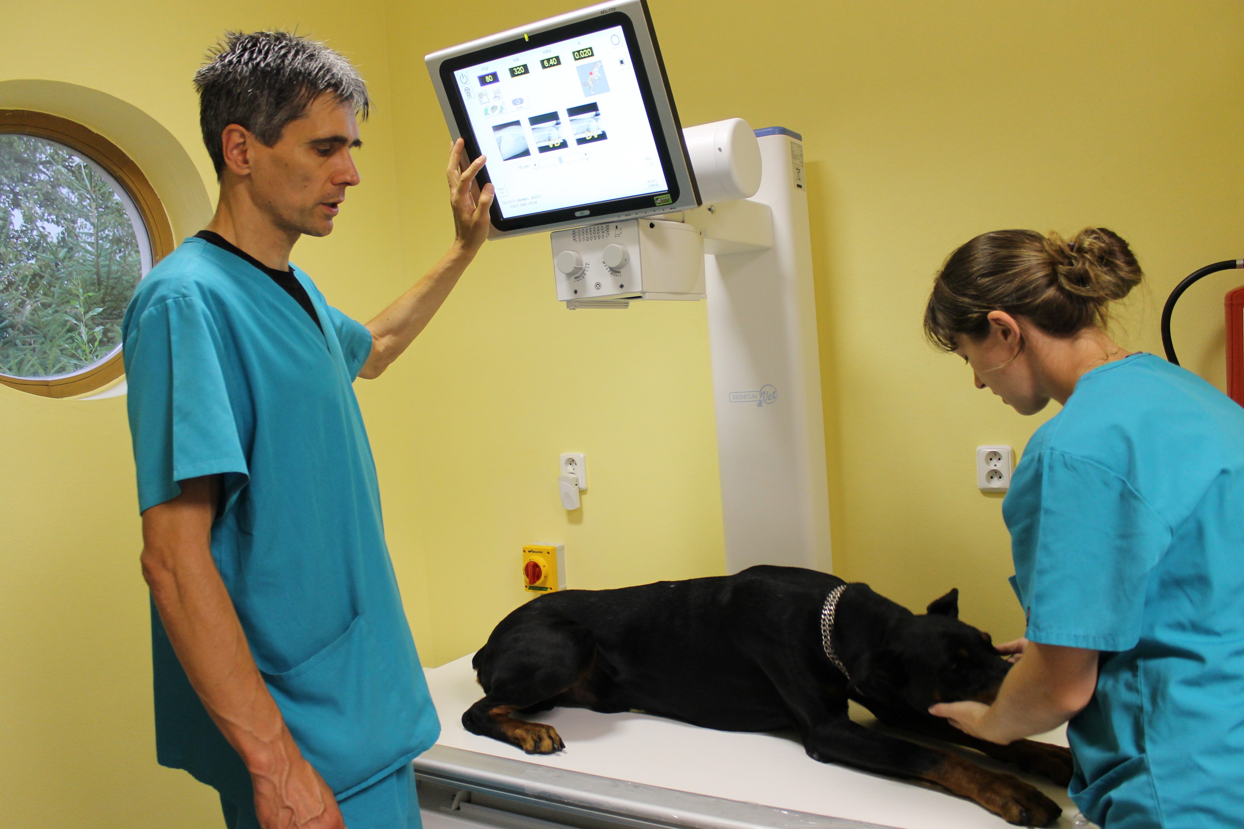 Veterinární ordinace - MVDr. Luděk Kučera foto 4