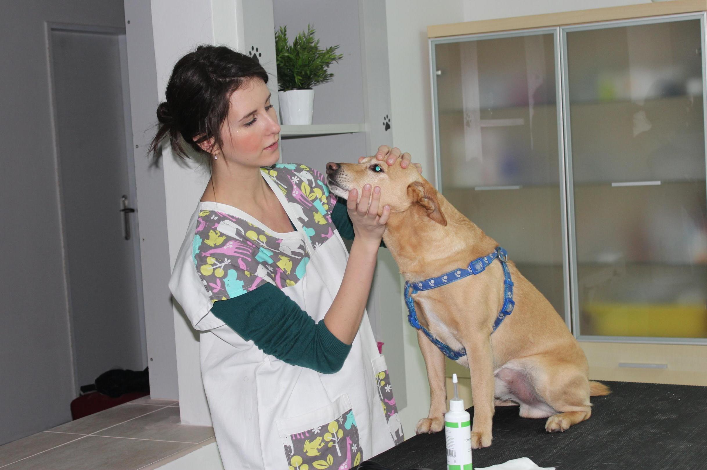 Ordinace pro zvířátka - MVDr. Simona Binterová