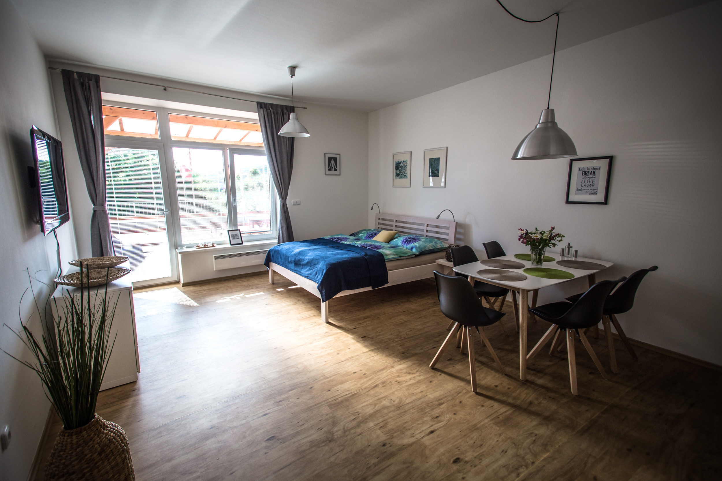 Apartmán Anemos Lipno foto 4