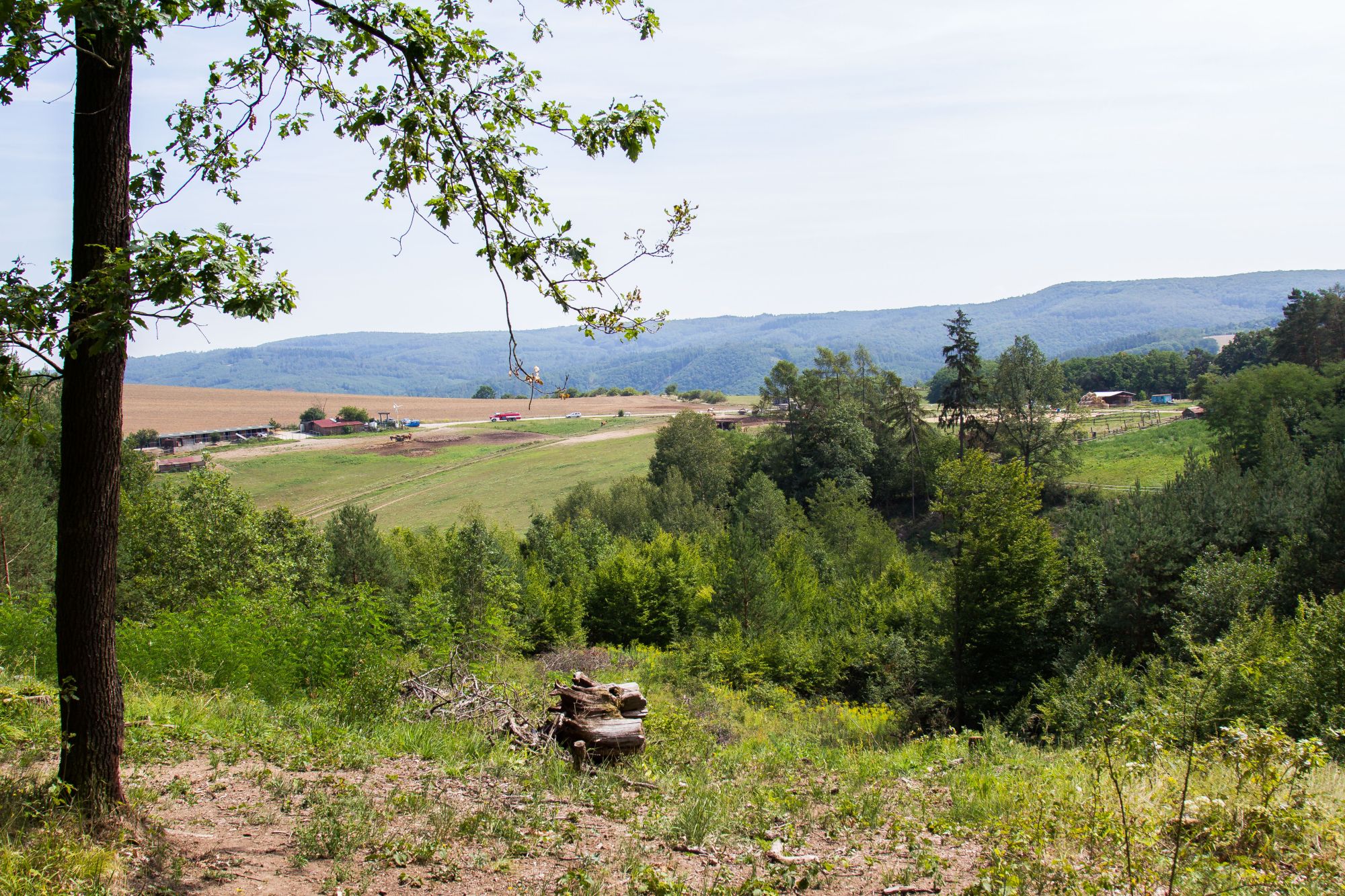 JK Ranch u cesty foto 4