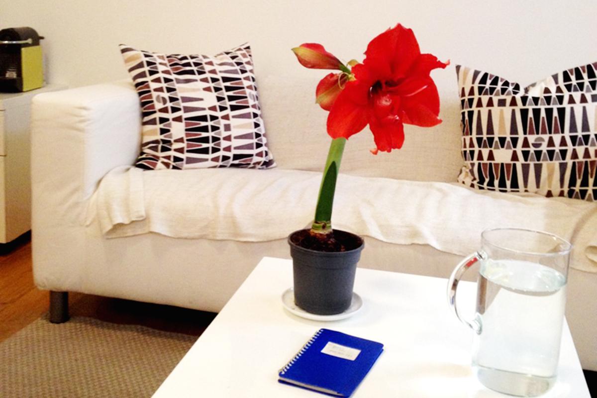 Ambulance Roubal, s.r.o.