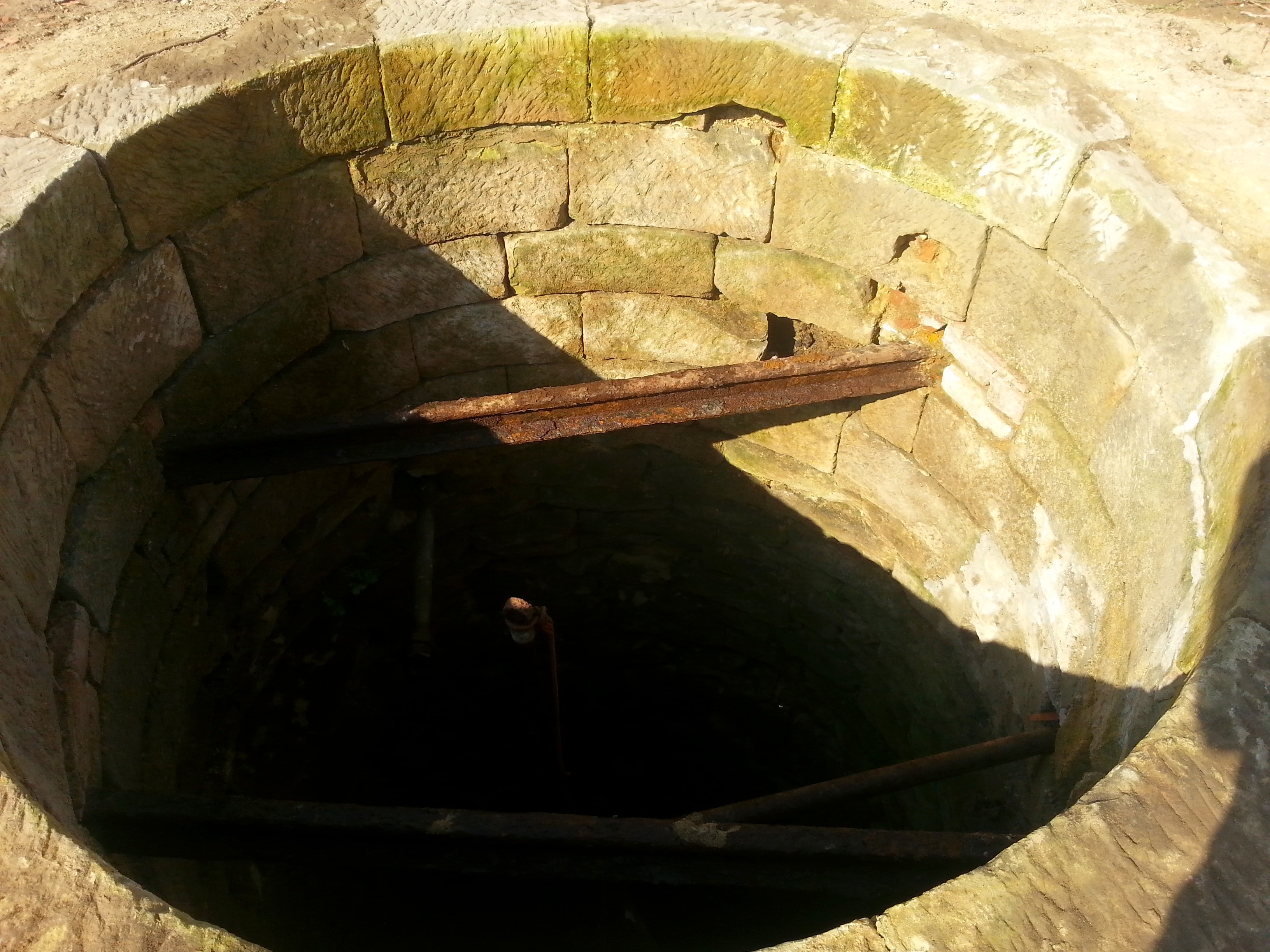 Vladimír Komárek - Čistý vrt foto 3