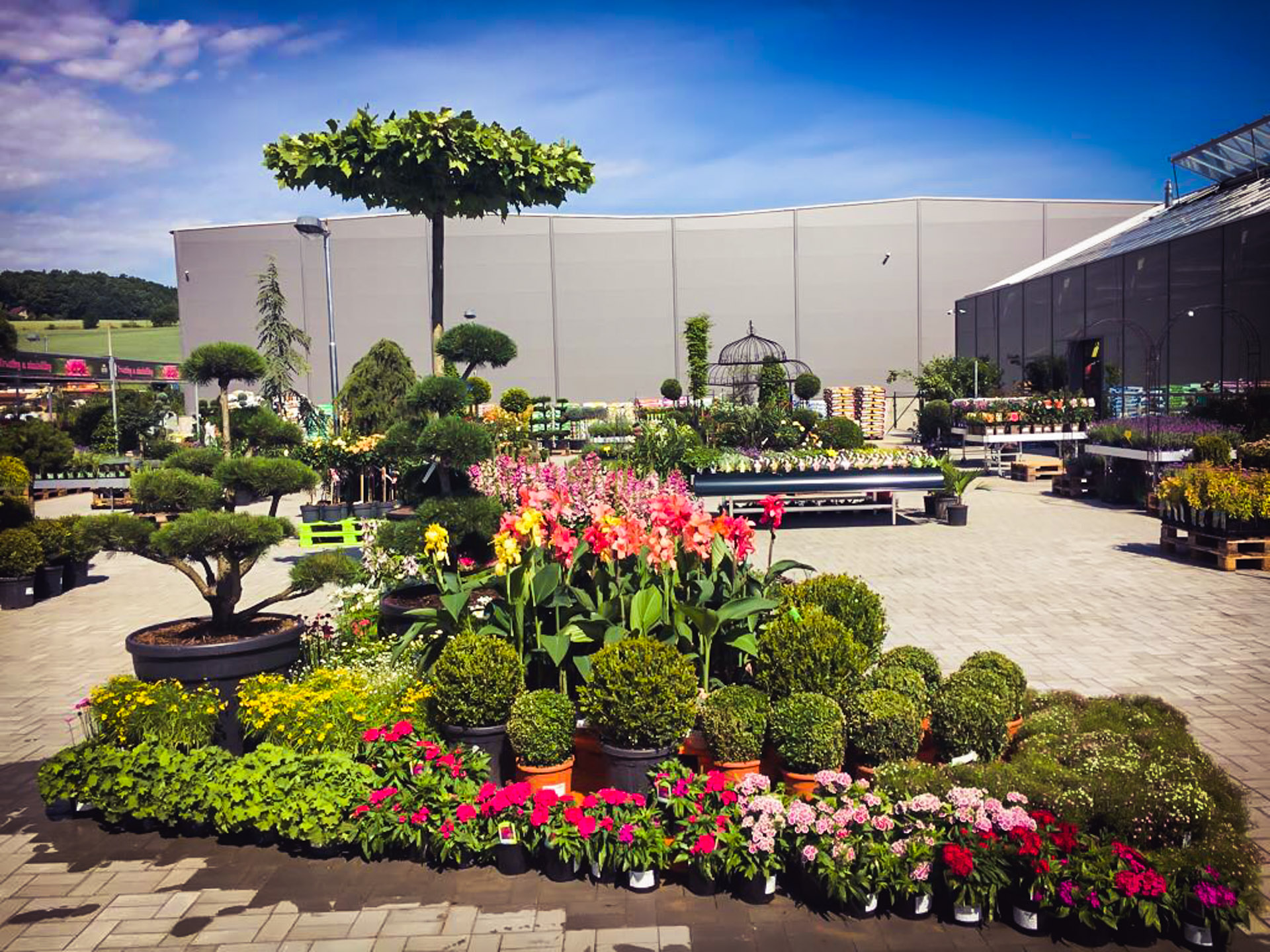 Zahradní centrum Valašské Meziříčí foto 3